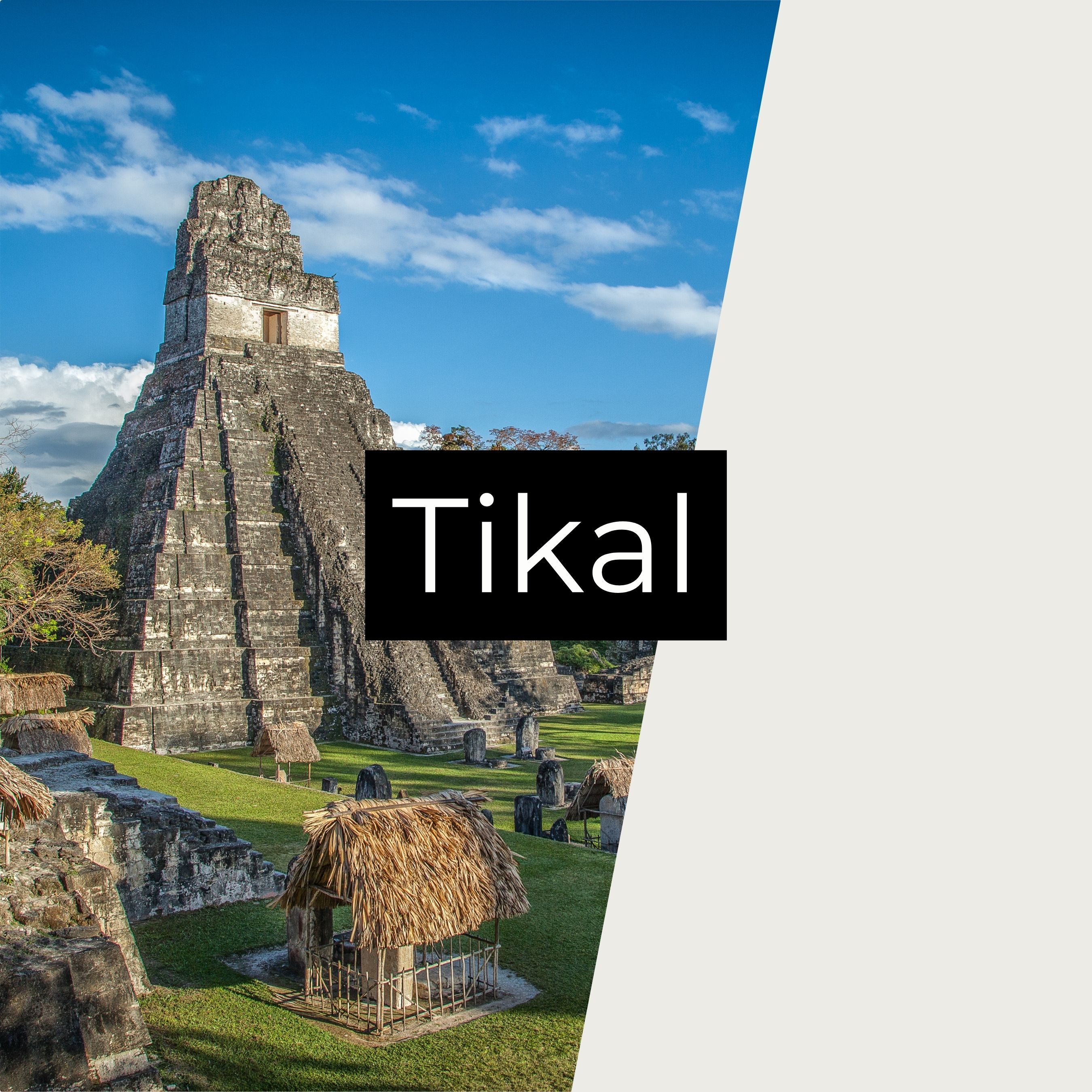 Tikal: 1,500 years Of Political Drama