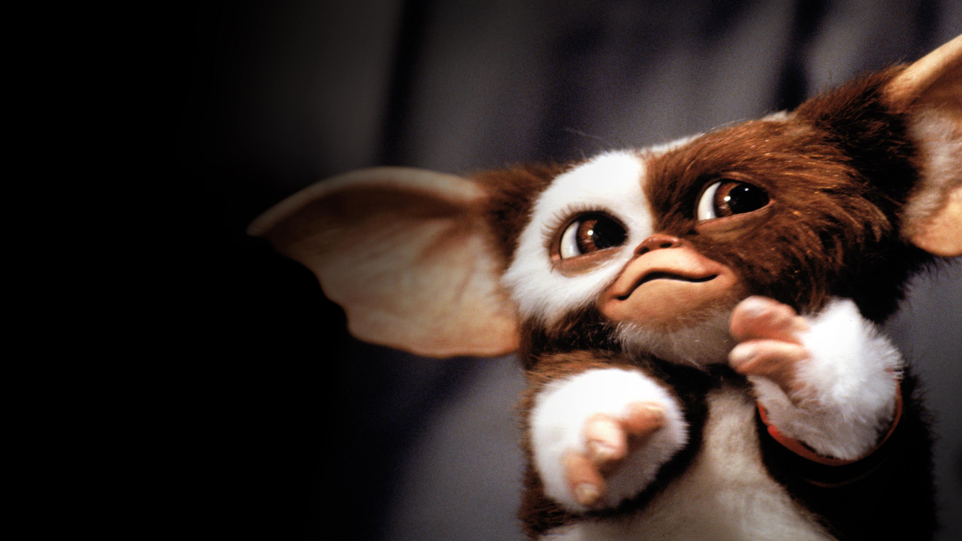 Gremlins 2 - Die Rückkehr der kleinen Monster