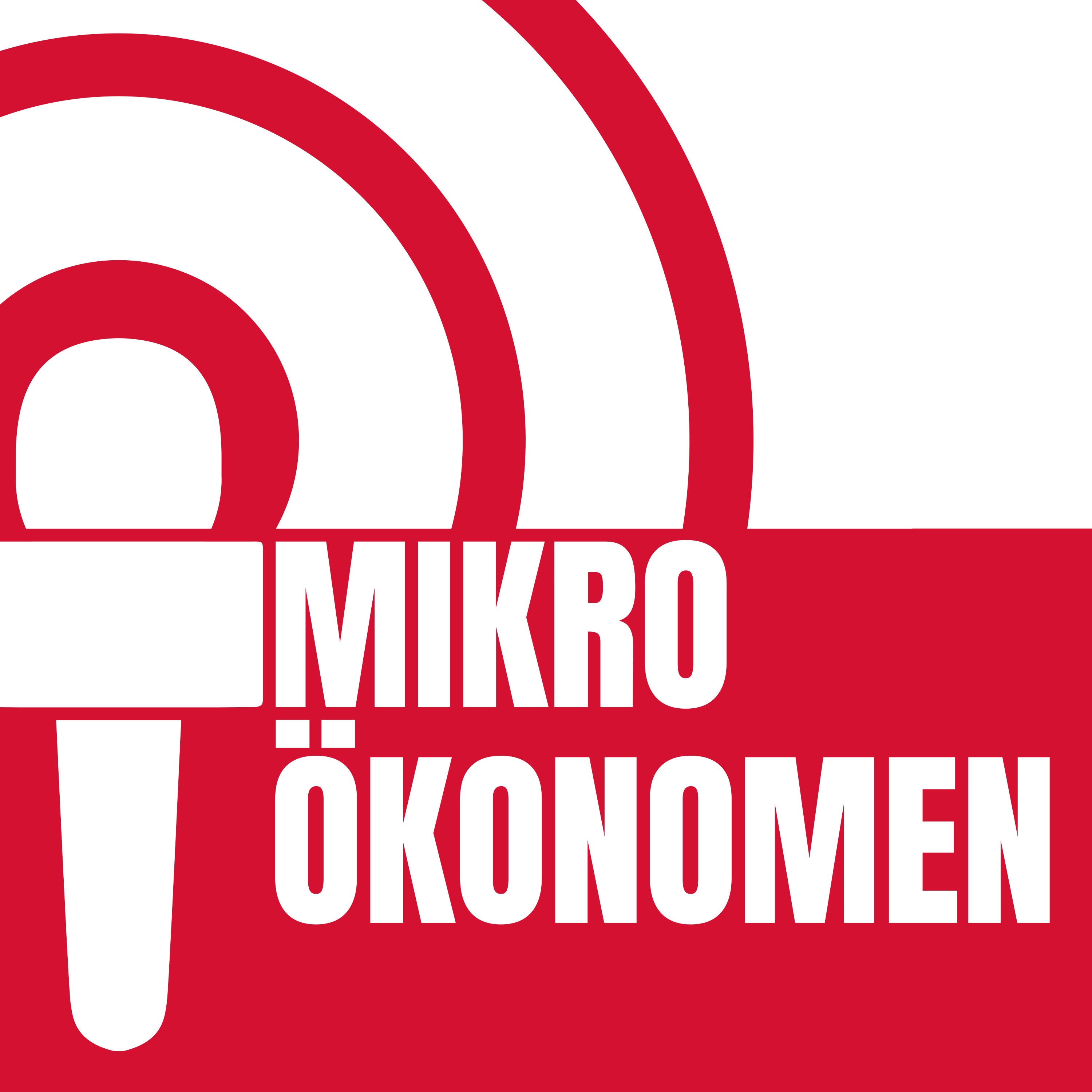 Mikro053 Investiert Euch!