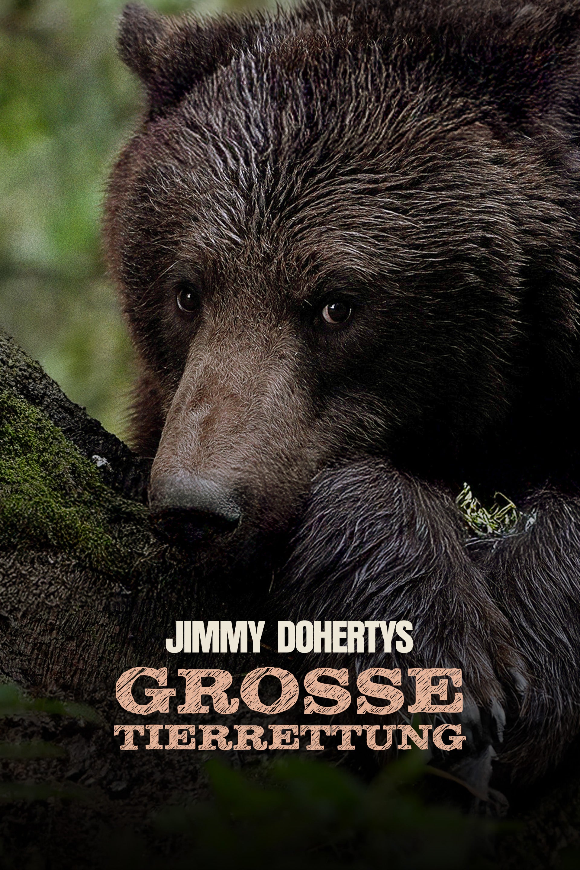 Jimmy Dohertys große Tierrettung