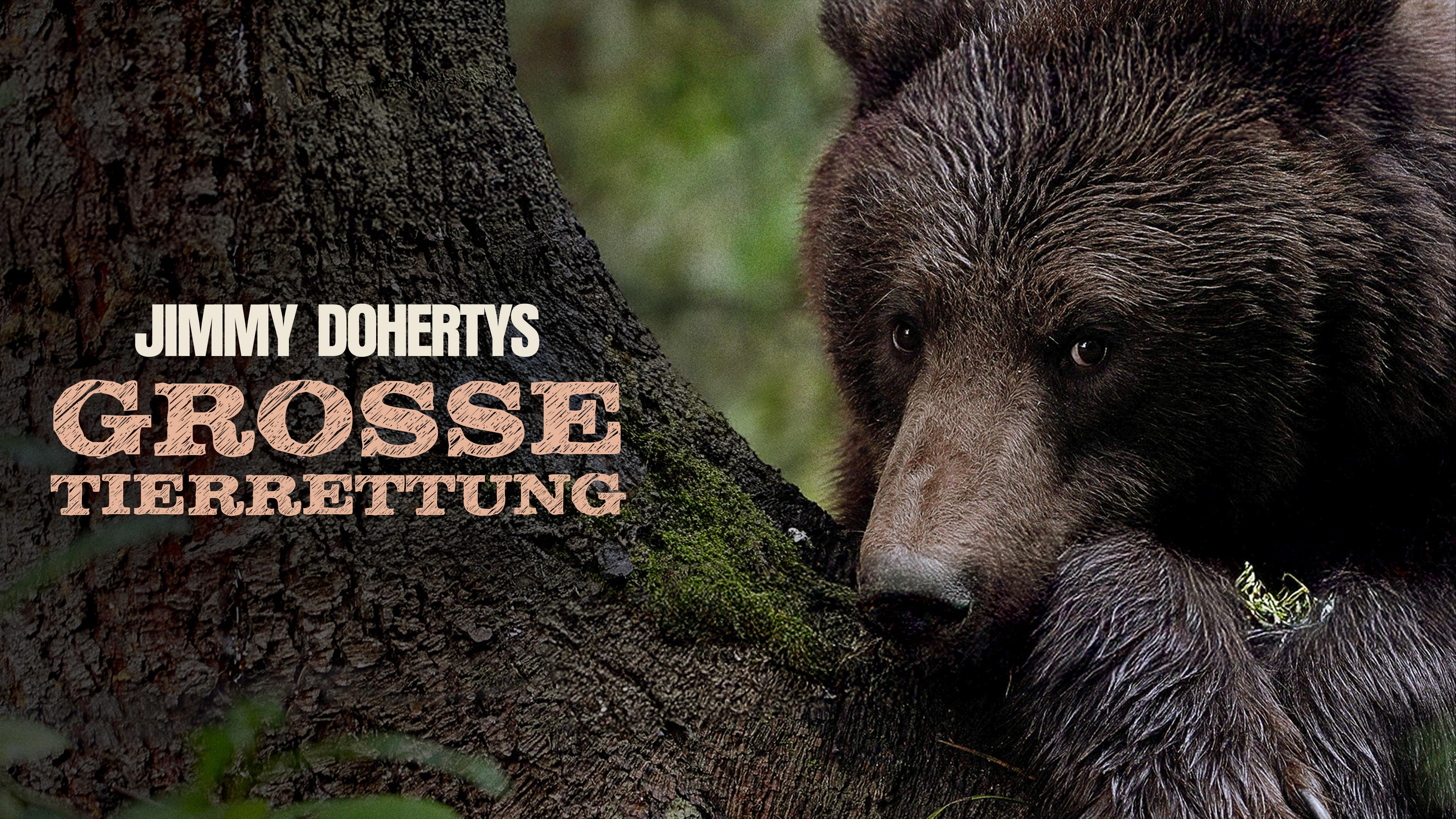 Jimmy Dohertys große Tierrettung