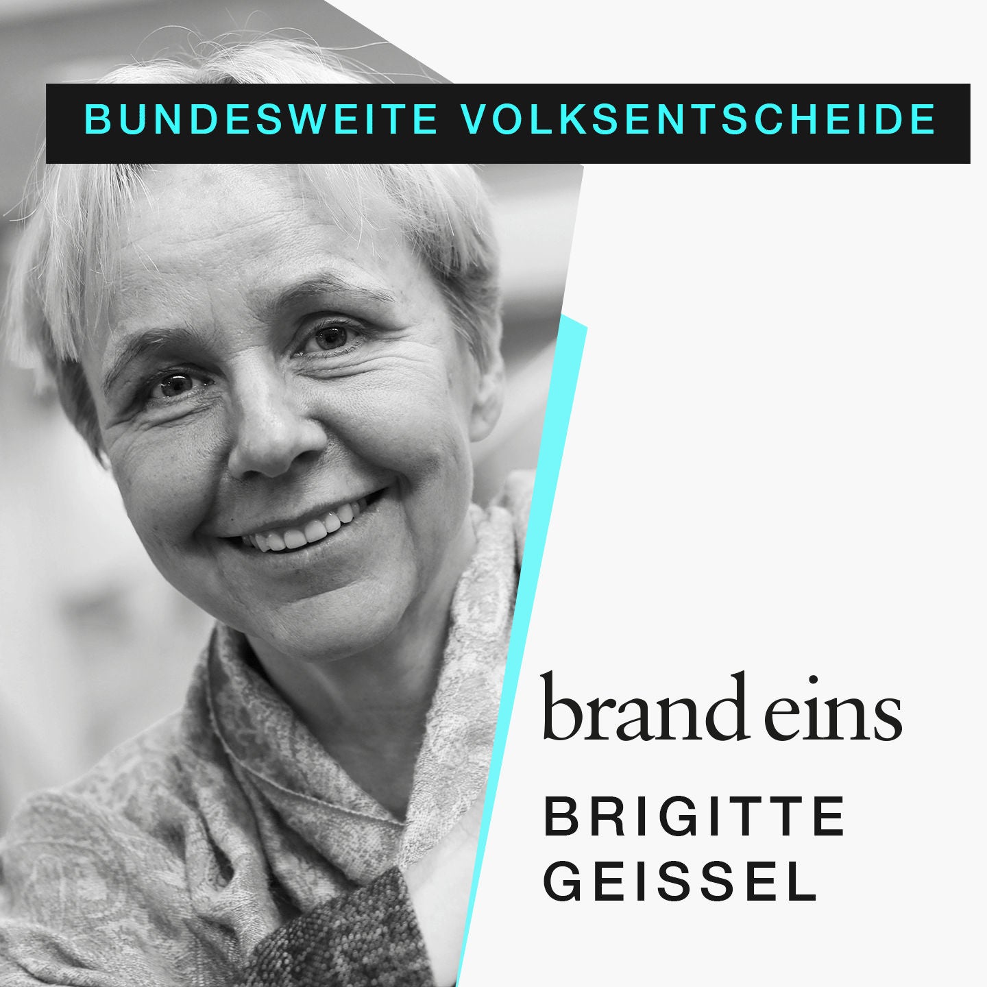 Brigitte Geißel: Mehr Demokratie durch bundesweite Volksentscheide?
