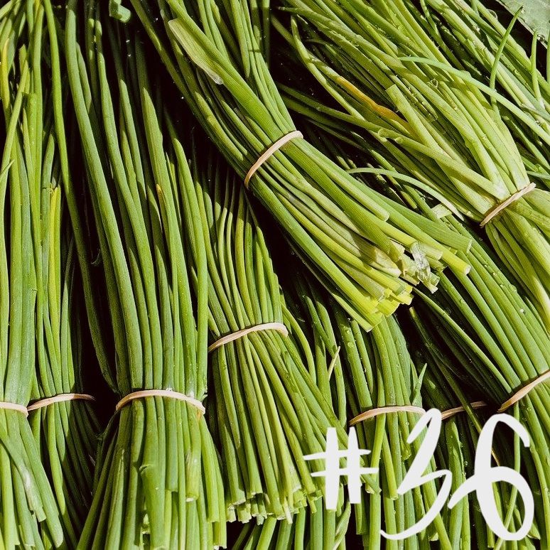 #36 - Buschbohne & Schnittlauch