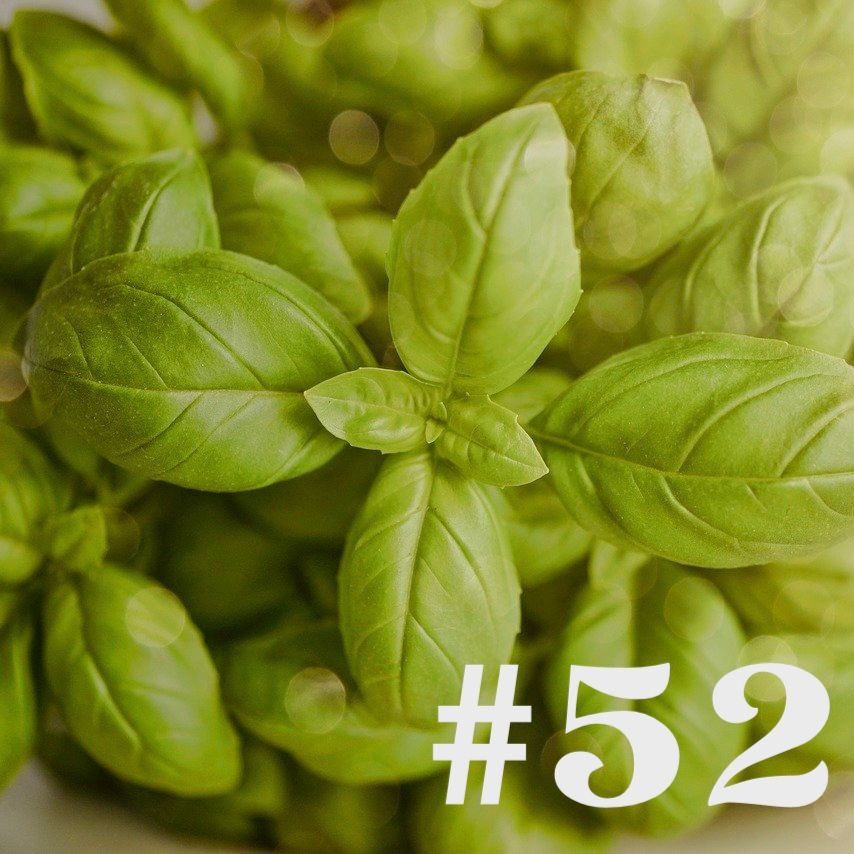 #52 - Microgreens & Basilikum