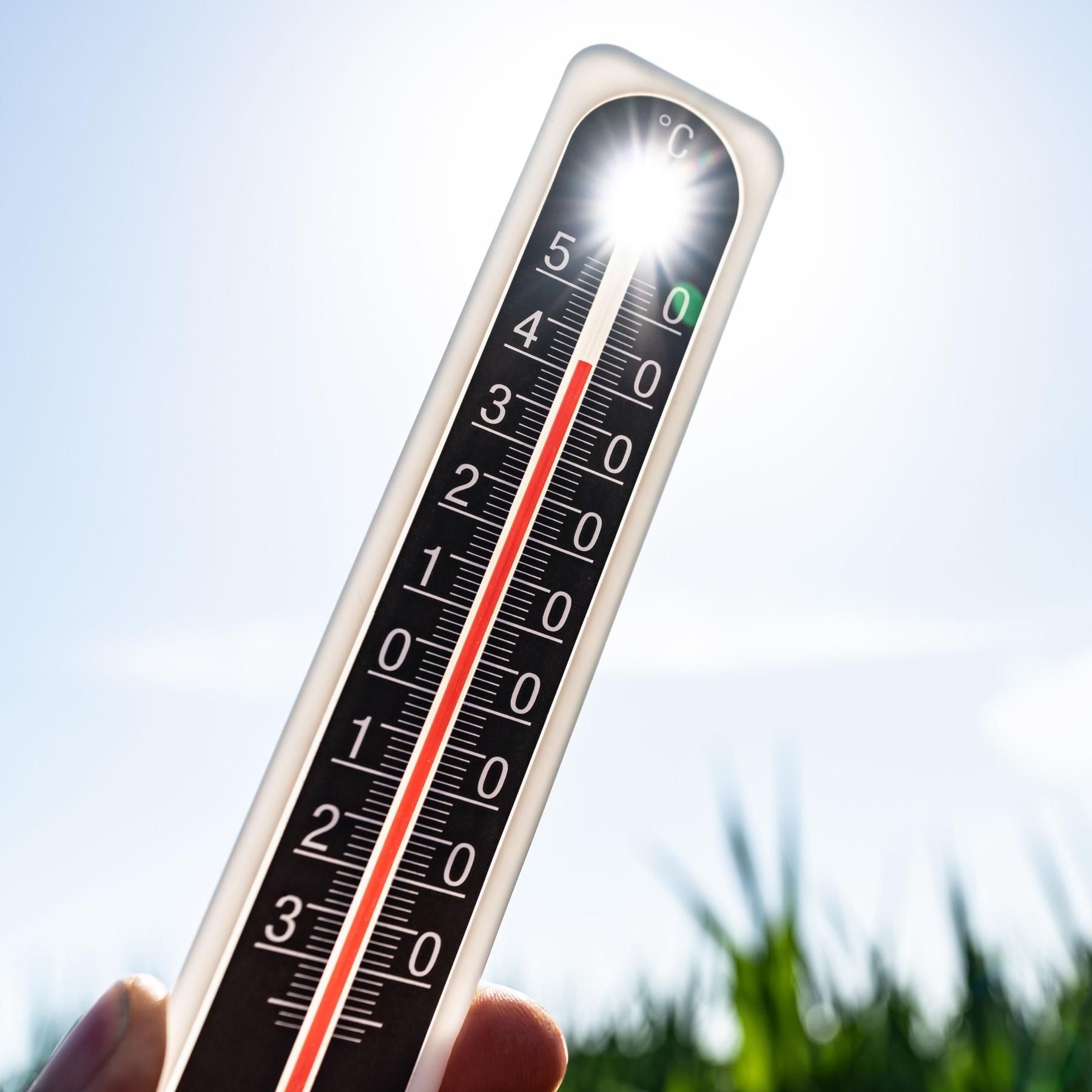 Klimawandel und Gesundheit, KI-Gefahren, DNA-Analysen von Tempelrittern