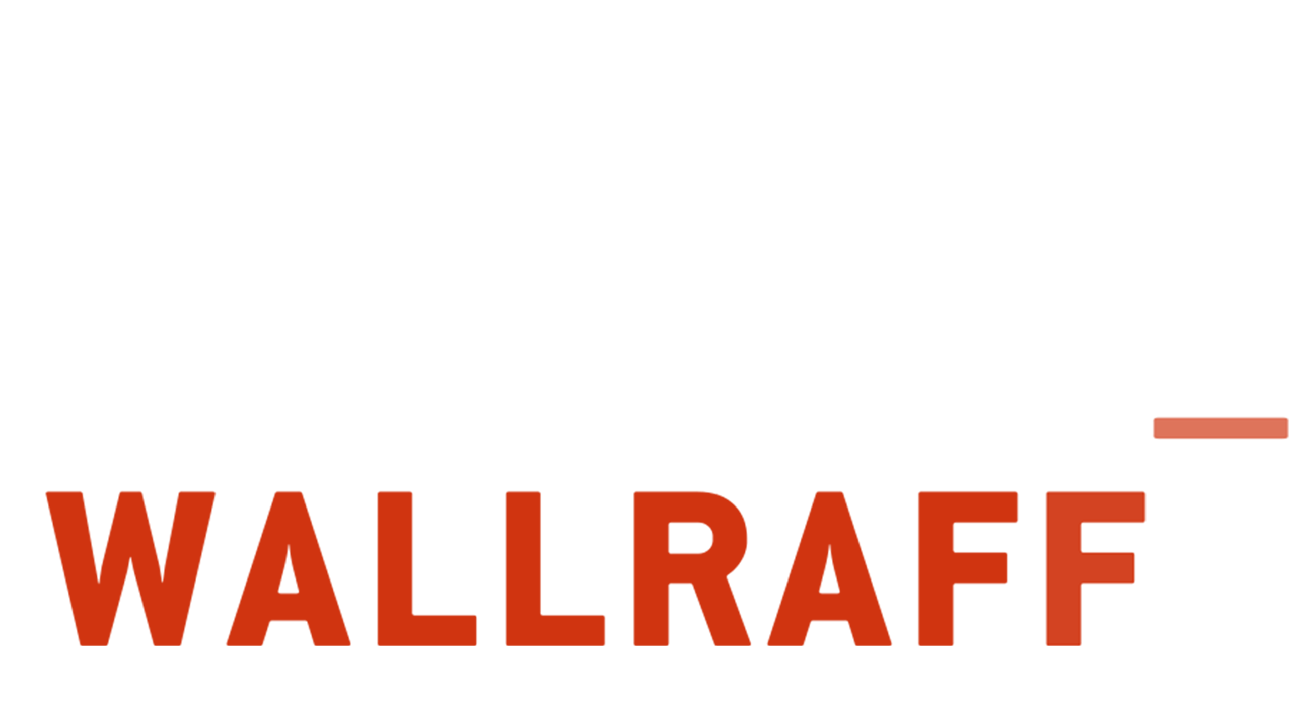 Team Wallraff - Reporter undercover