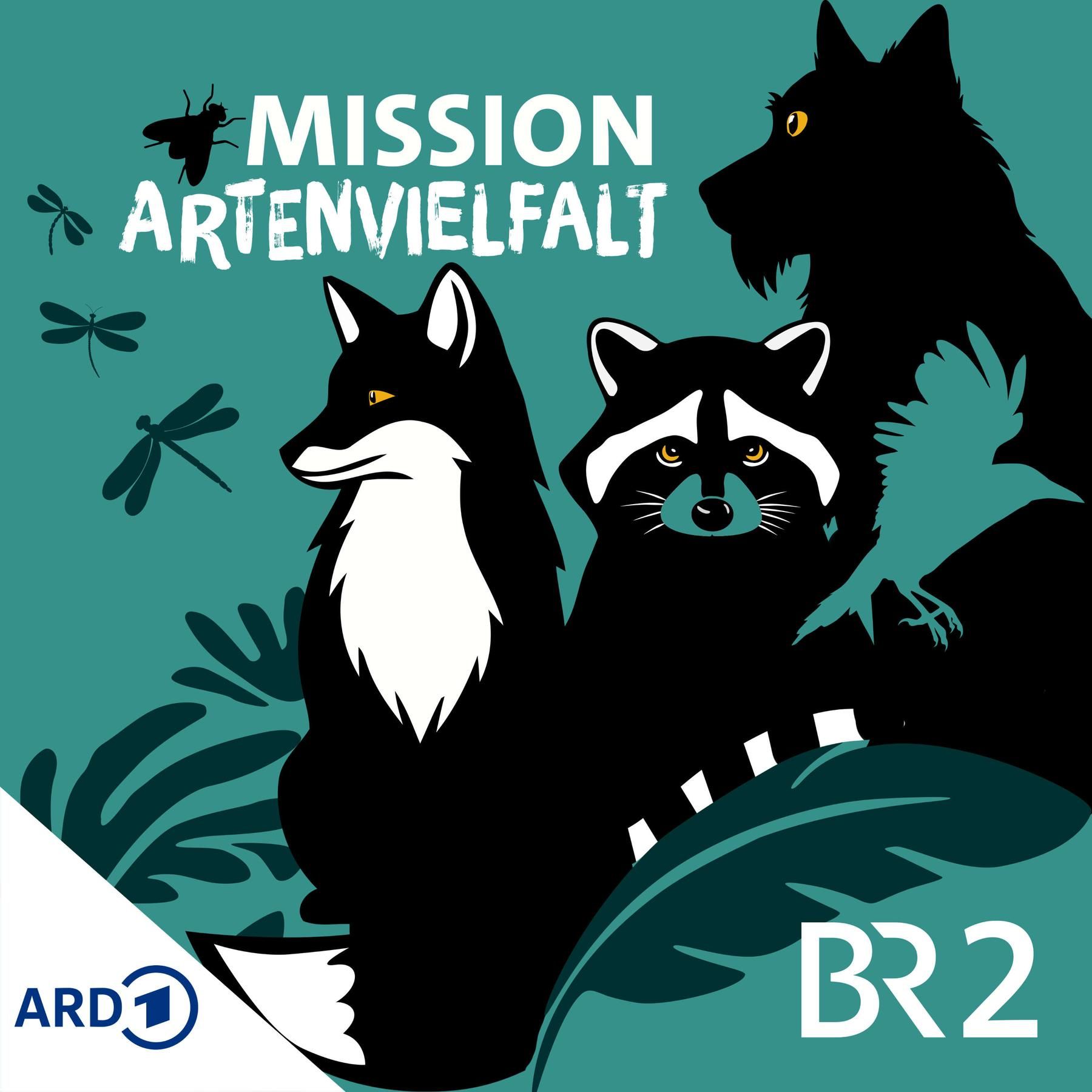 #02 Mission Artenvielfalt: Unterwegs mit Artenspürhund Arni (2/6)