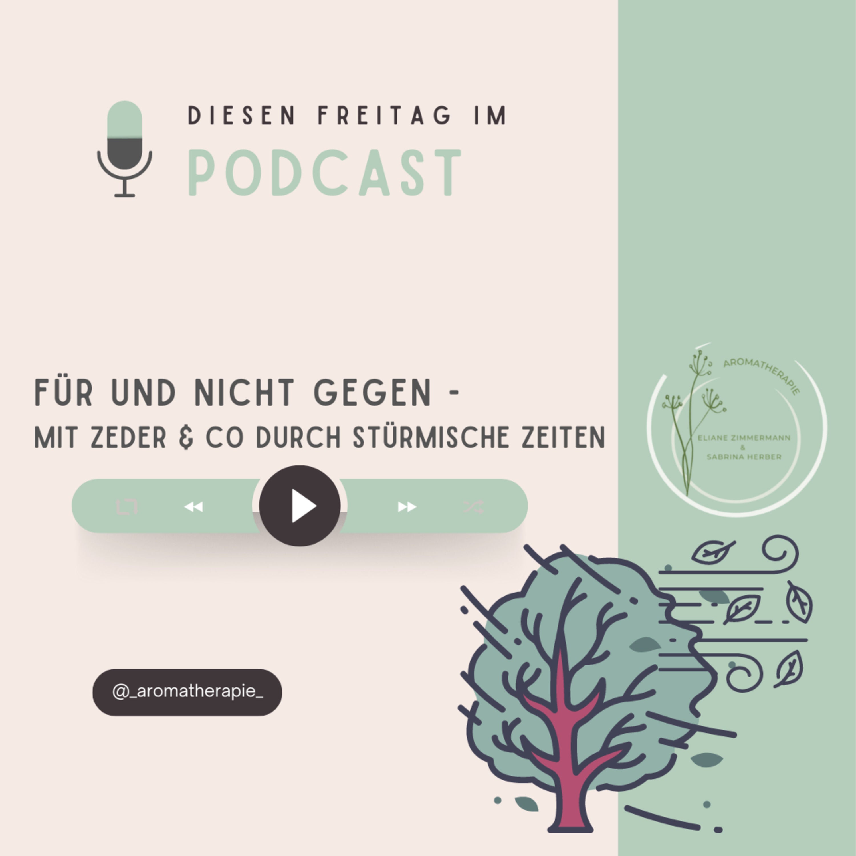 FÜR und nicht GEGEN :: Kraft durch Zeder & Co. in stürmischen Zeiten