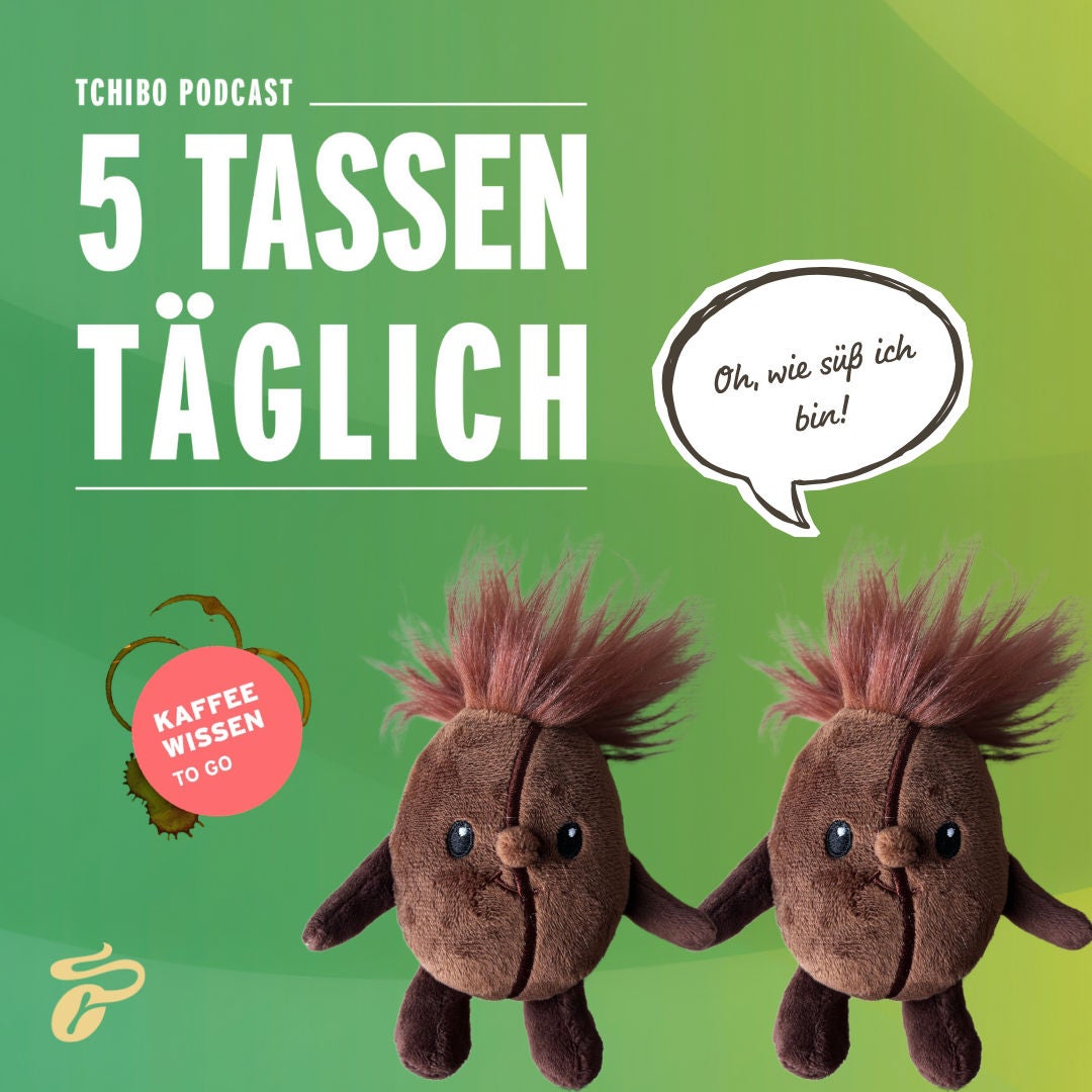 Schmeckst du die Süße in deinem Kaffee – auch ohne Zucker?
