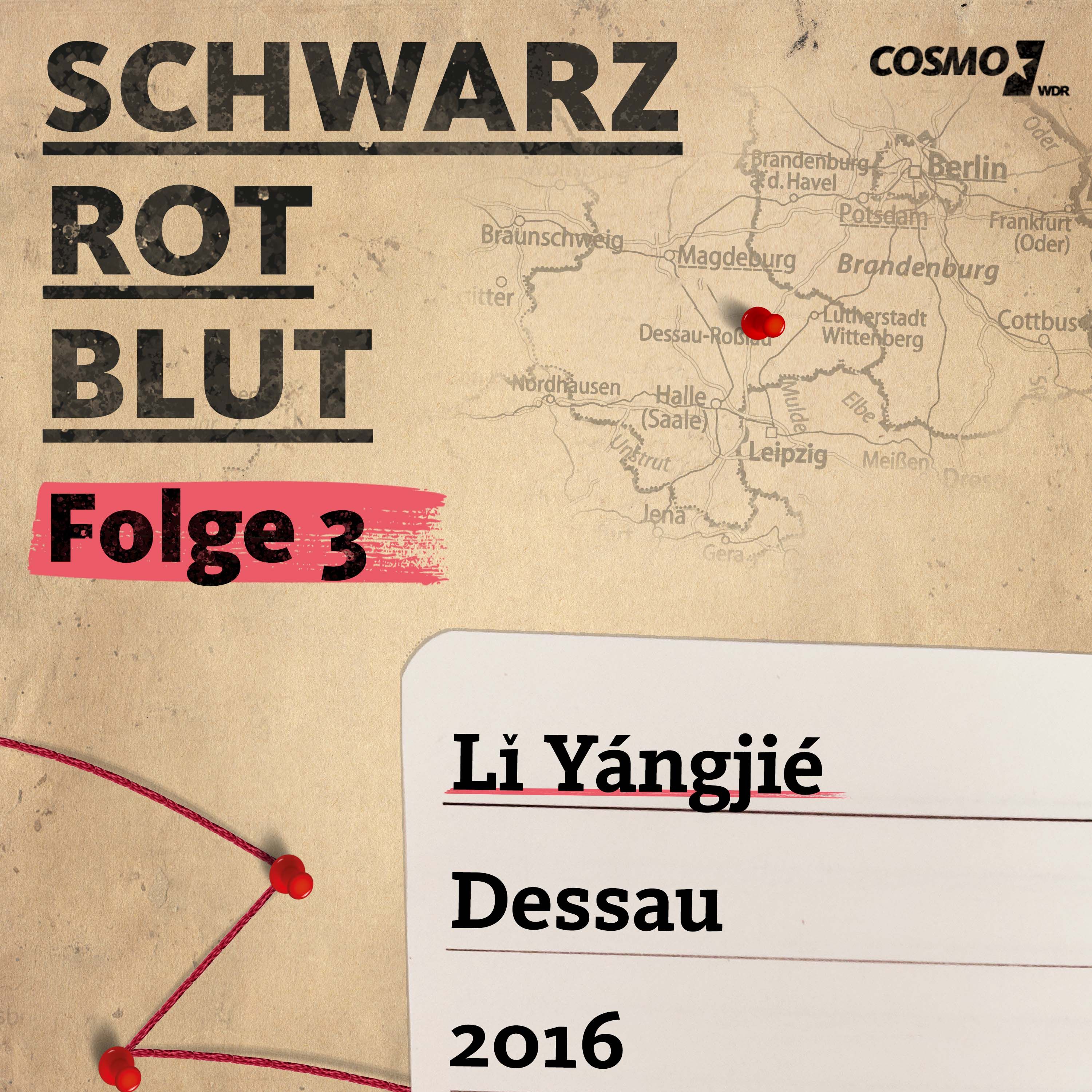 3. Der Sexualmord - Dessau 2016