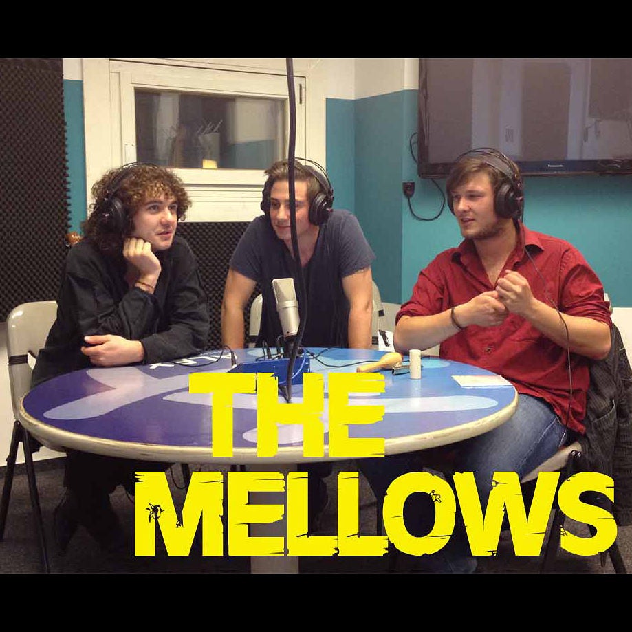 Interview mit THE MELLOWS
