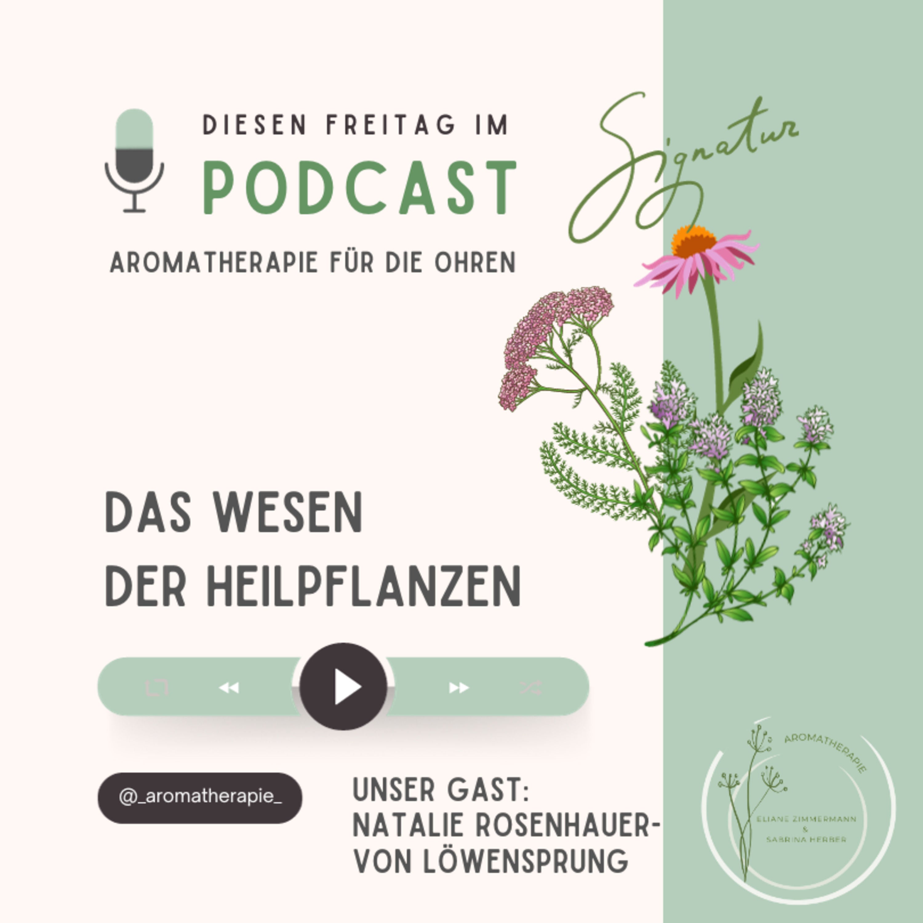 Das Wesen der Heilpflanzen :: Ein virtueller Besuch bei Ceres