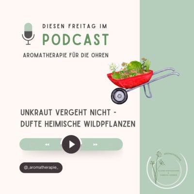 Unkraut vergeht nicht – dufte heimische Wildpflanzen