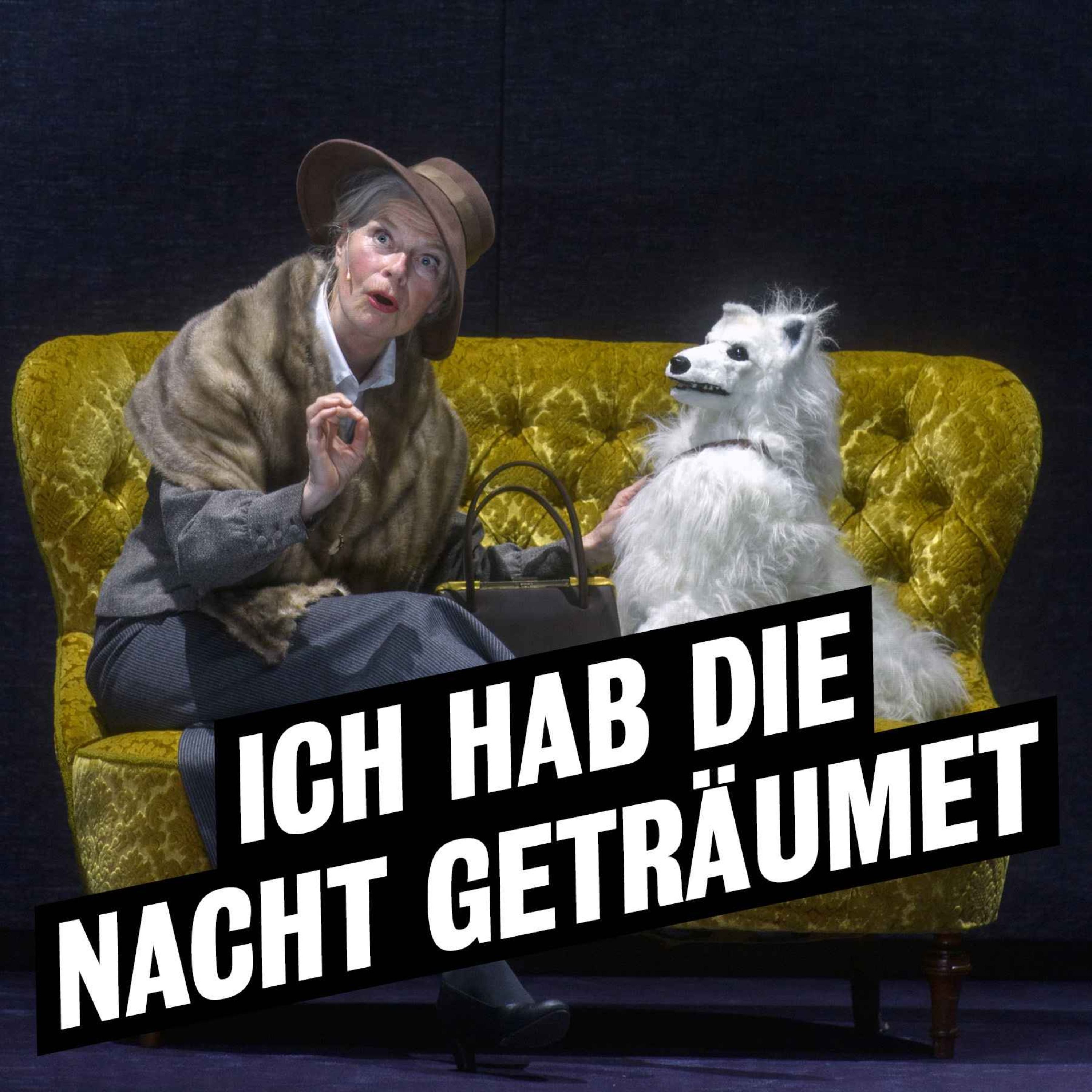Audioeinführung "Ich hab die Nacht geträumet"