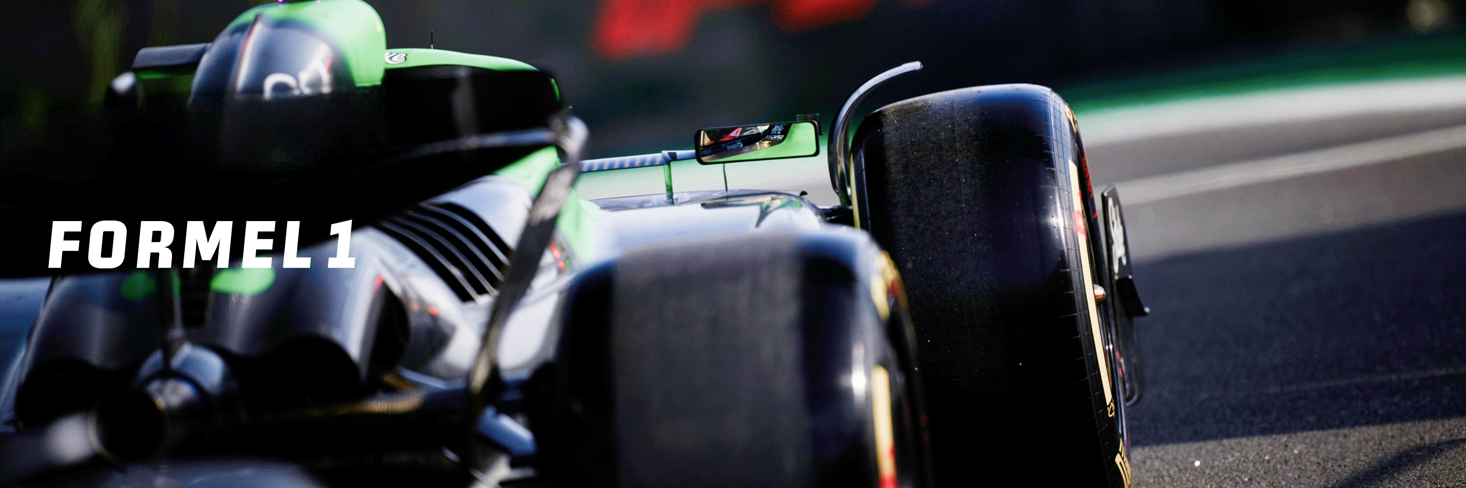 Qualifying - GP von Brasilien