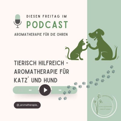 Tierisch hilfreich – Aromatherapie für Katz' und Hund