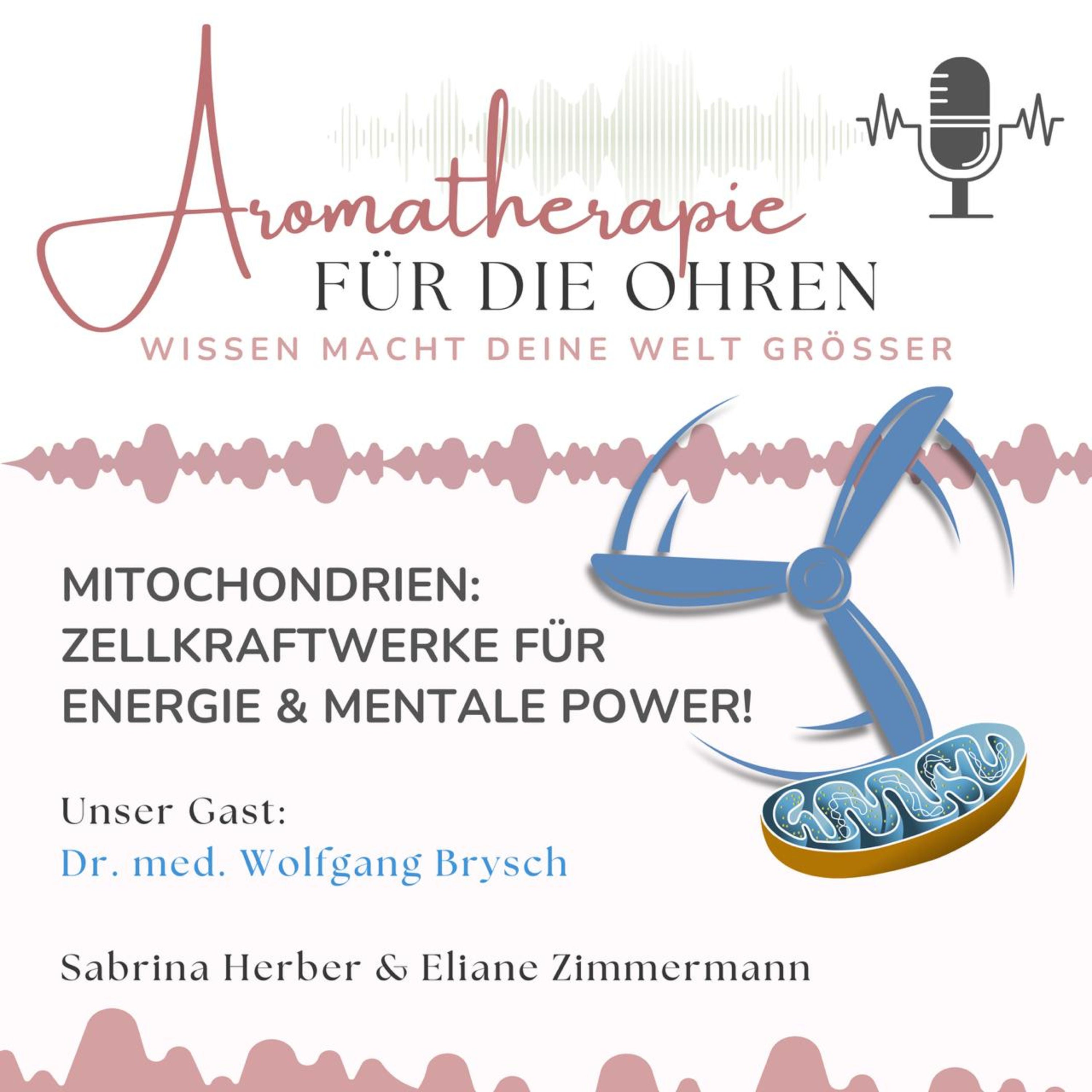 Mitochondrien - Zellkraftwerke für Energie & mentale Power