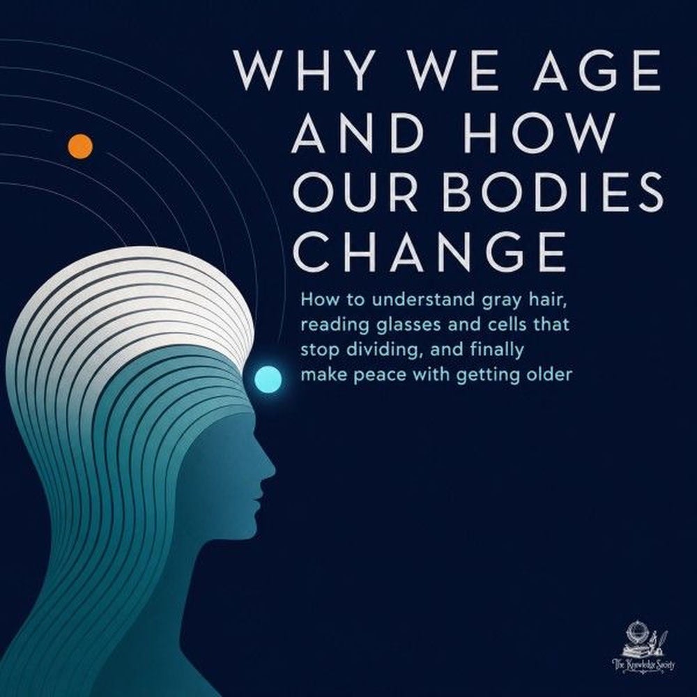 Why We Age and How Our Bodies Change