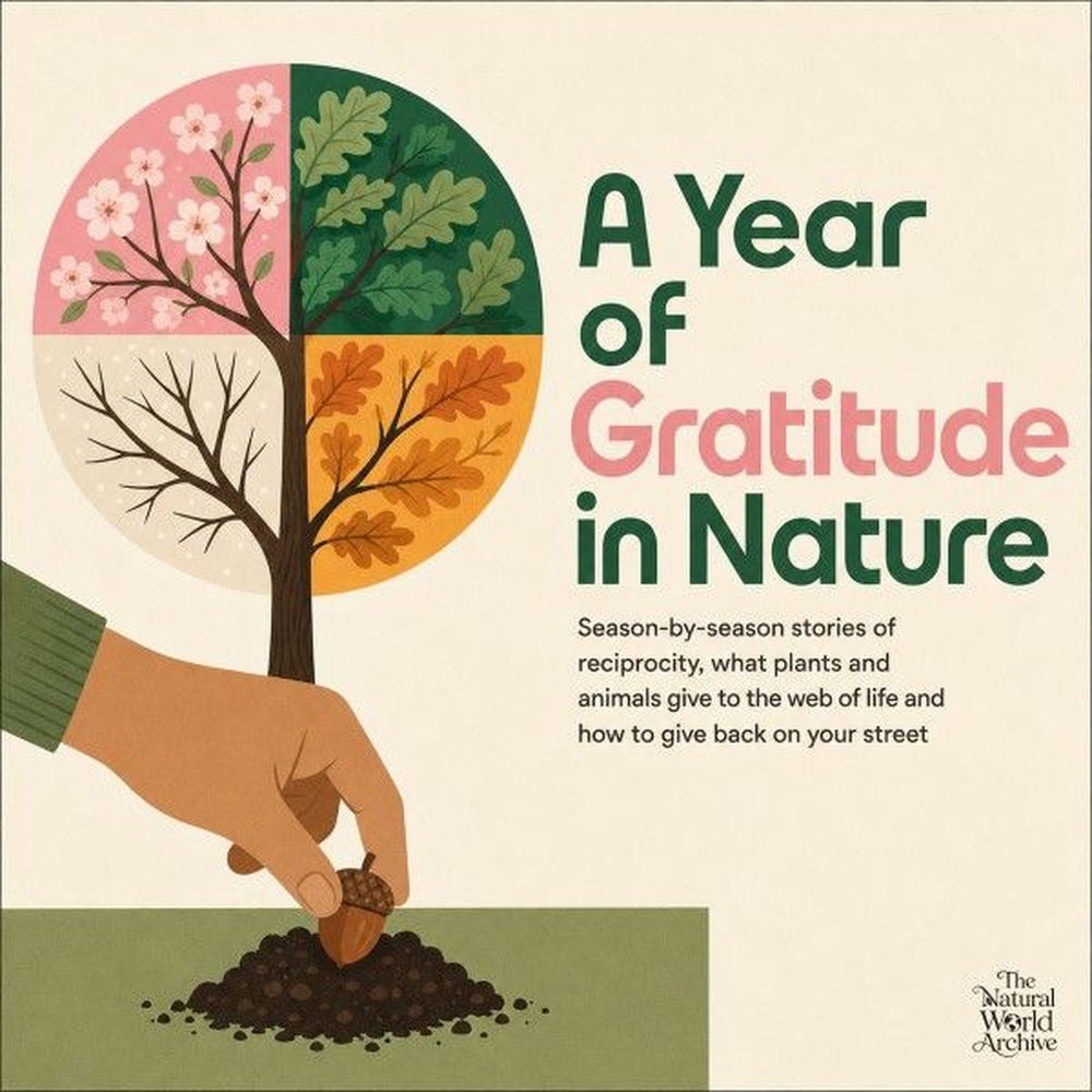 A Year of Gratitude in Nature