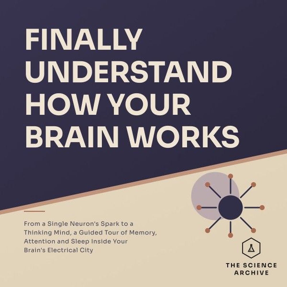 Finally Understand How Your Brain Works