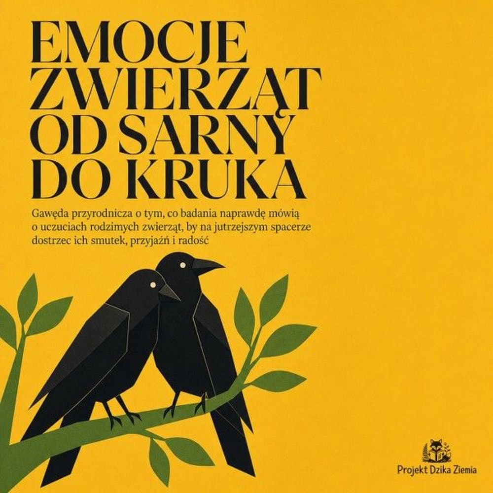 Emocje Zwierząt Od Sarny Do Kruka