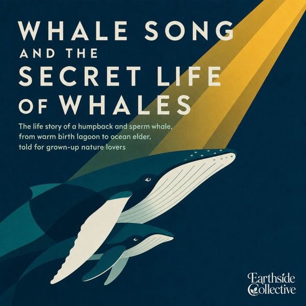 Whale Song and the Secret Life of Whales