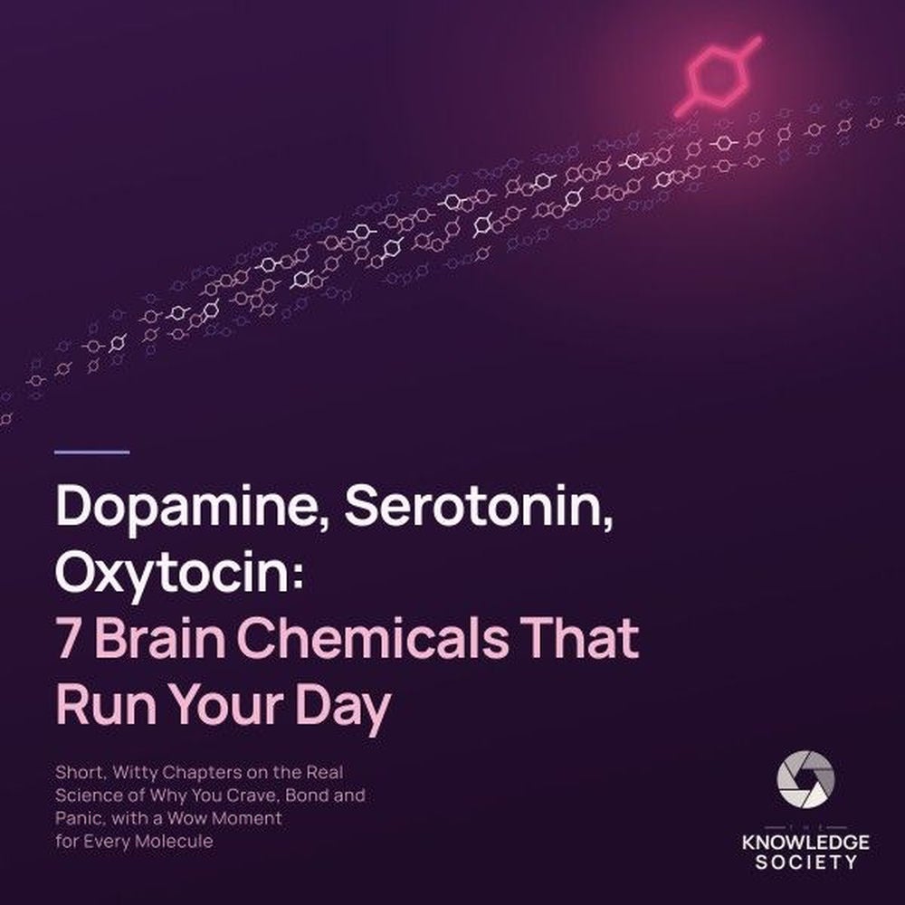 Dopamine, Serotonin, Oxytocin: 7 Brain Chemicals That Run Your Day