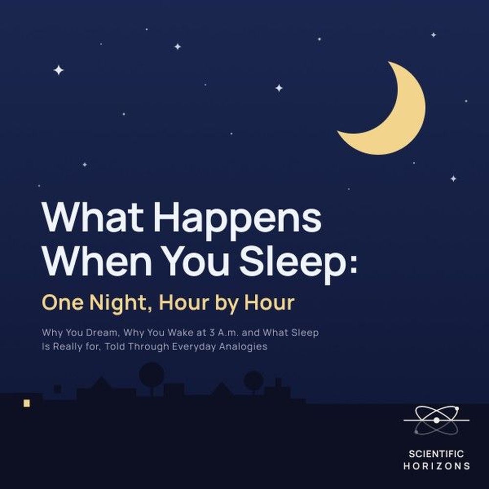 What Happens When You Sleep: One Night, Hour by Hour
