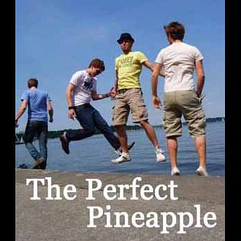 Interview mit THE PERFECT PINEAPPLE