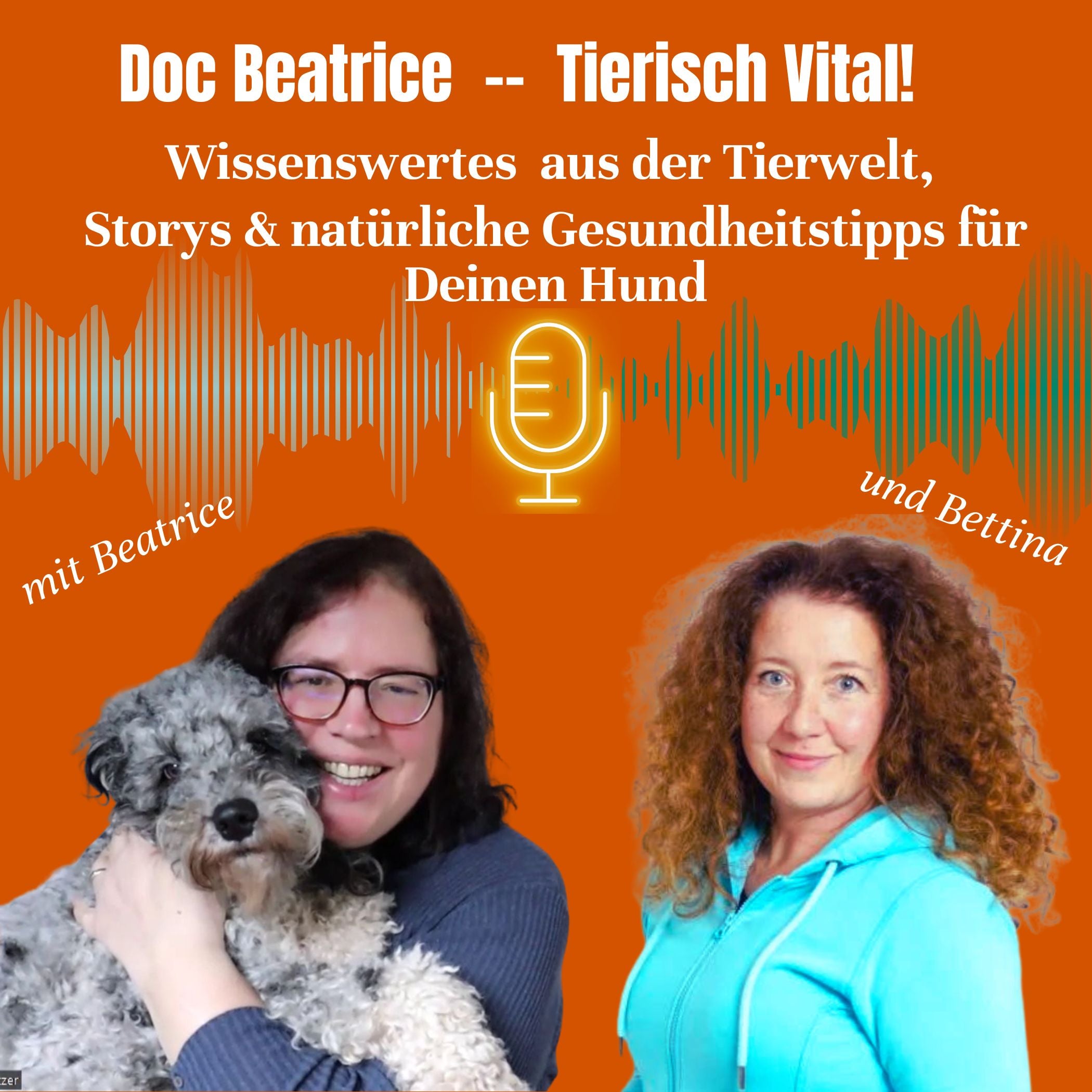 Episode 30 Woche B Hundegesundheit & Praxisgeschichten! Heute ängstliche Hunde!