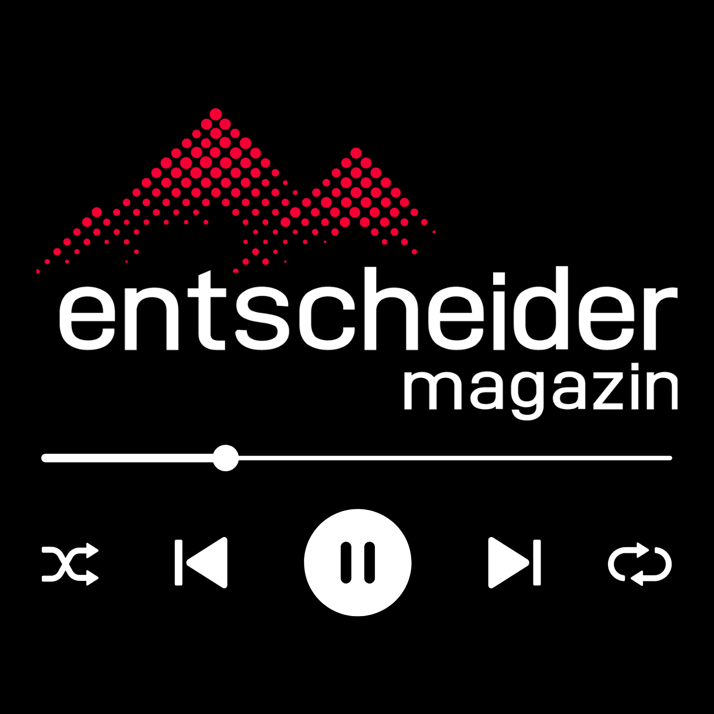 Entscheider - Einblicke in die Führungsgeheimnisse von Top-CEOs und Branchenführern