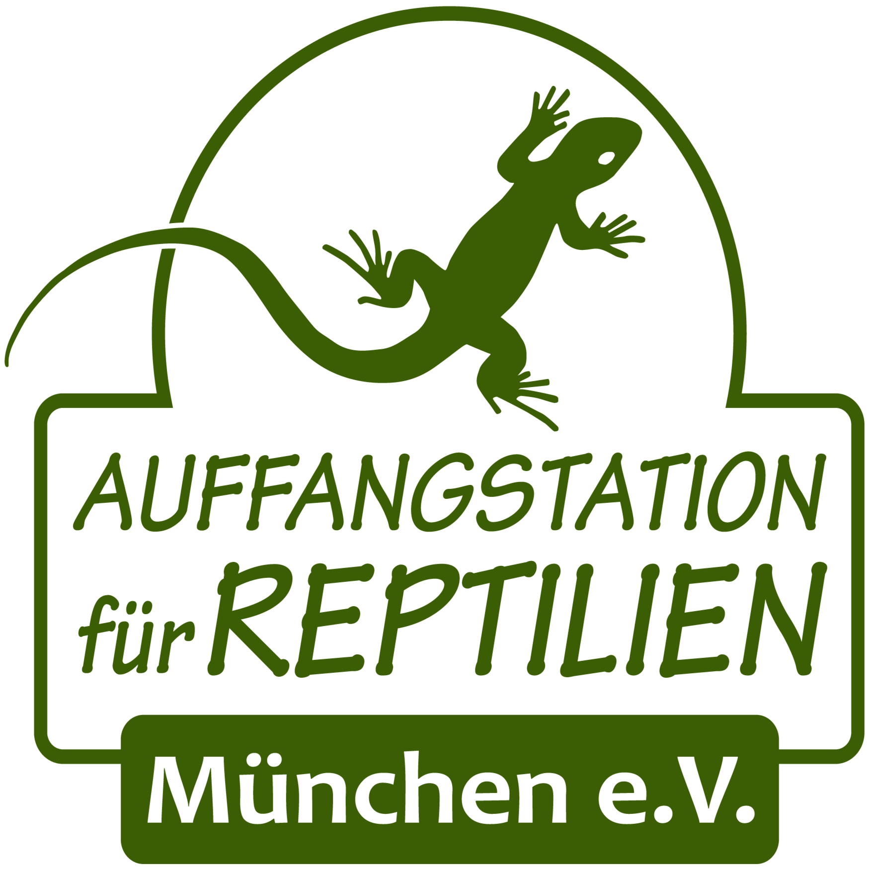 Folge 1 - “Schuppen, Krallen und Chaos: Wie alles begann“