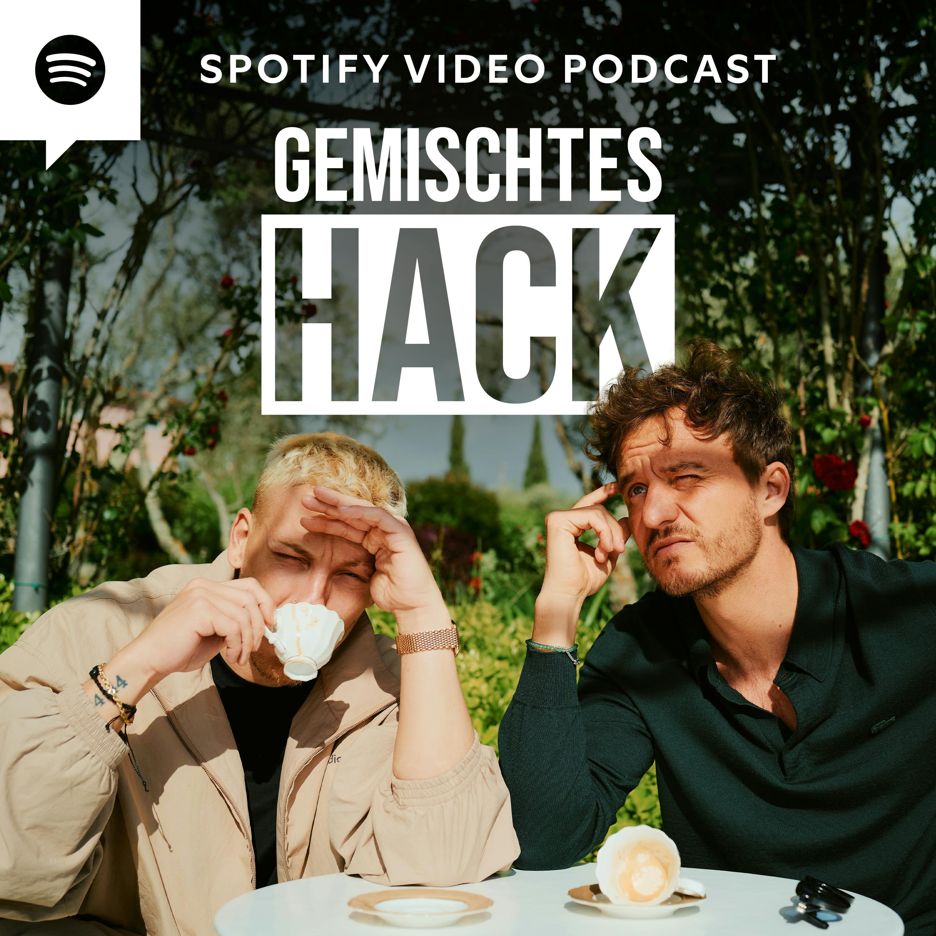 Gemischtes Hack