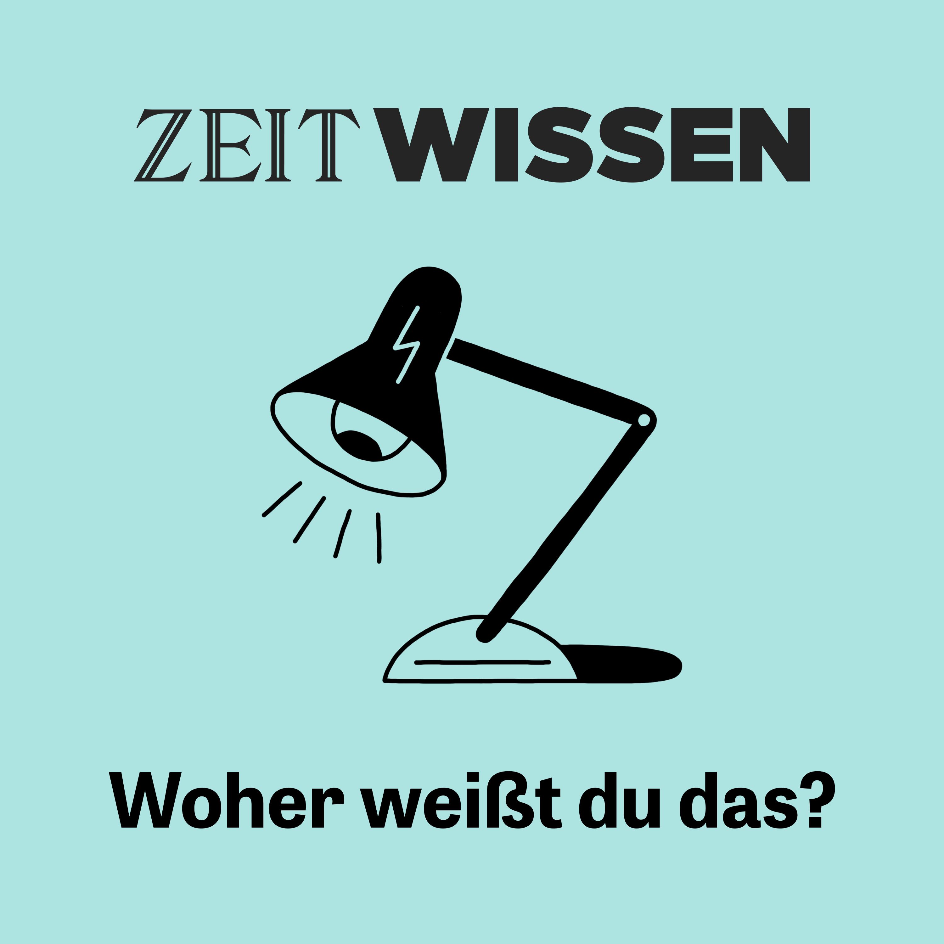 Wozu Rechtschreibung, wenn KI jetzt alles korrigiert?