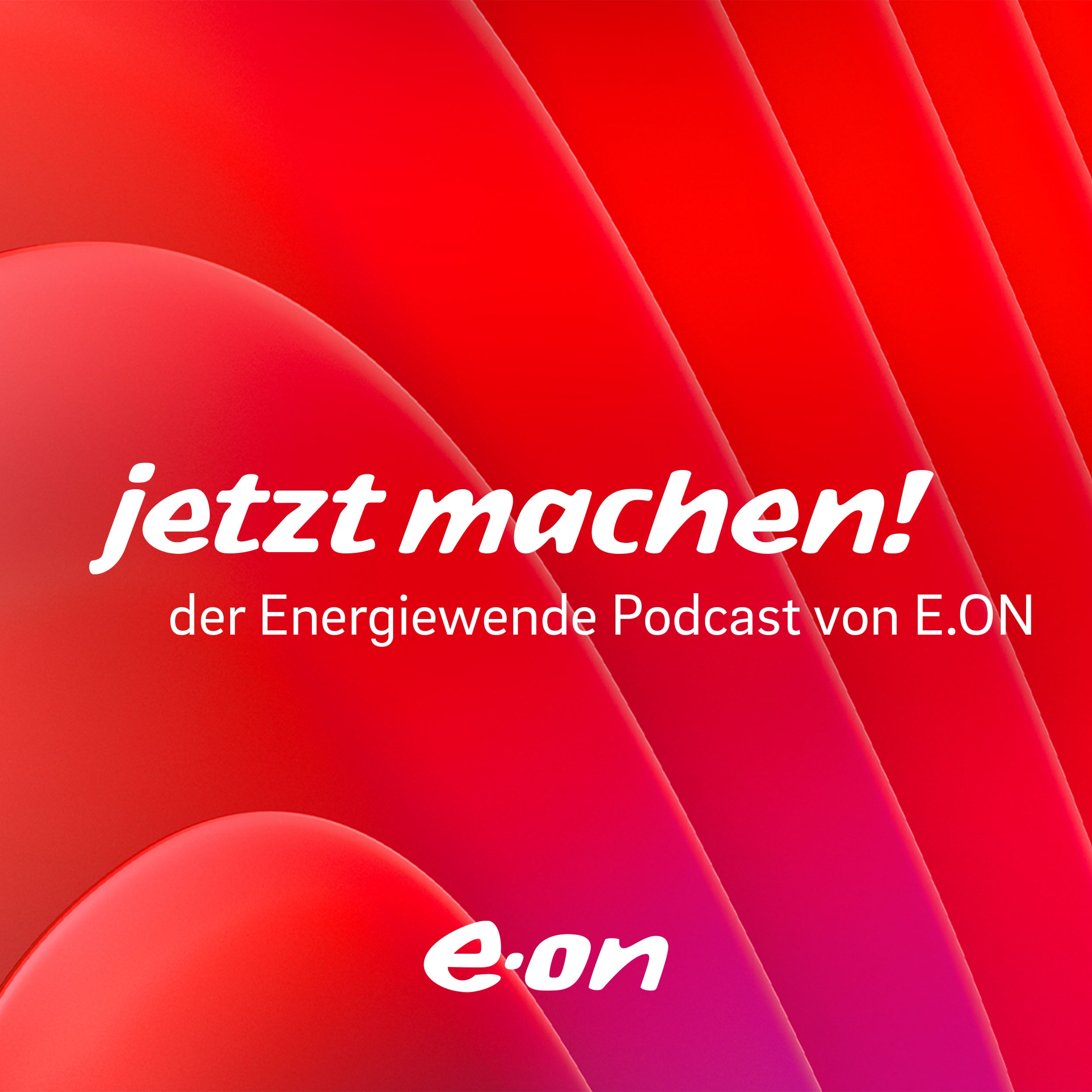 Die Energiewende in Zeiten der Energiekrise ​– mit Leo Birnbaum, CEO E.ON