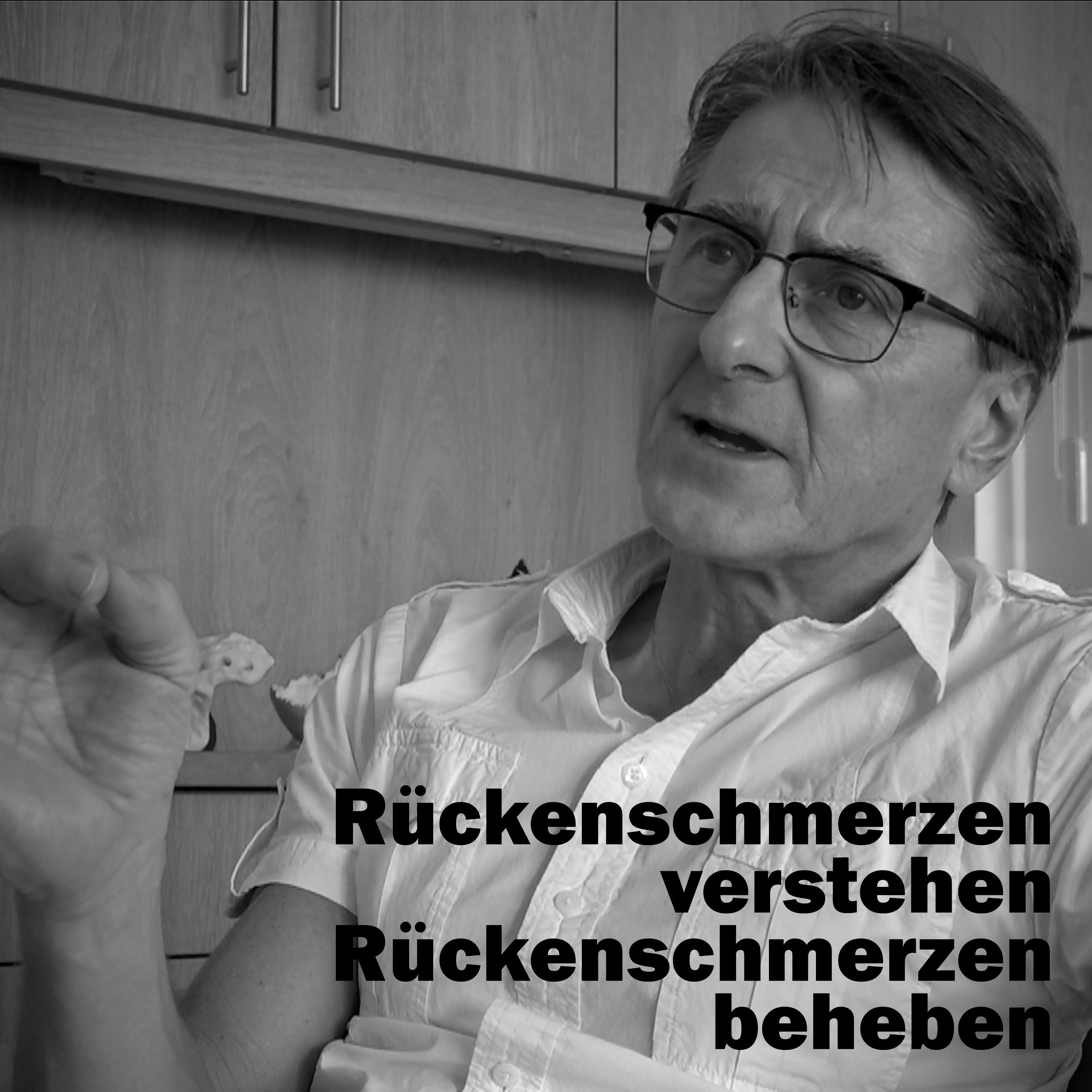 Rückenschmerzen verstehen - Rückenschmerzen beheben - Einführung