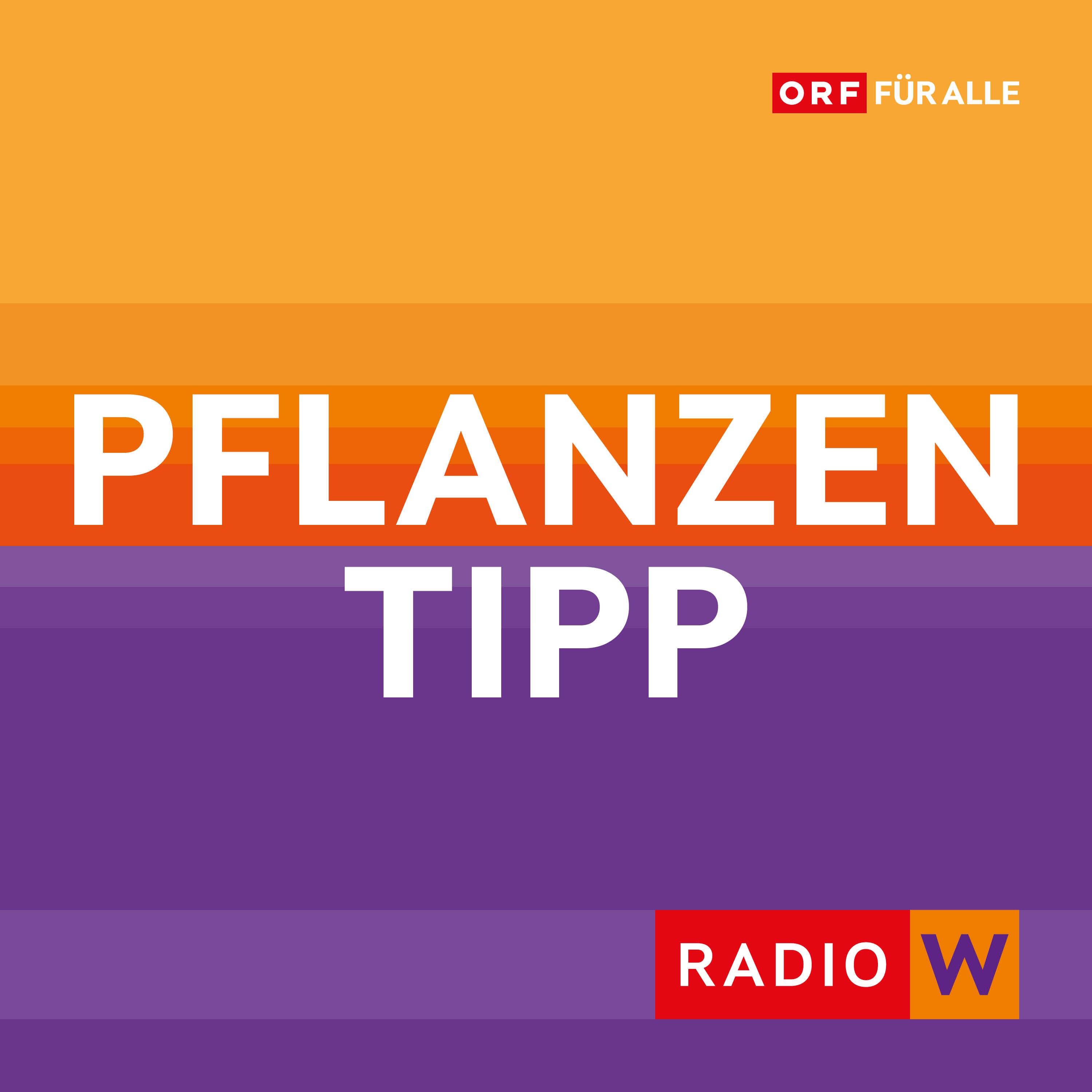 Kübelpflanzen richtig überwintern