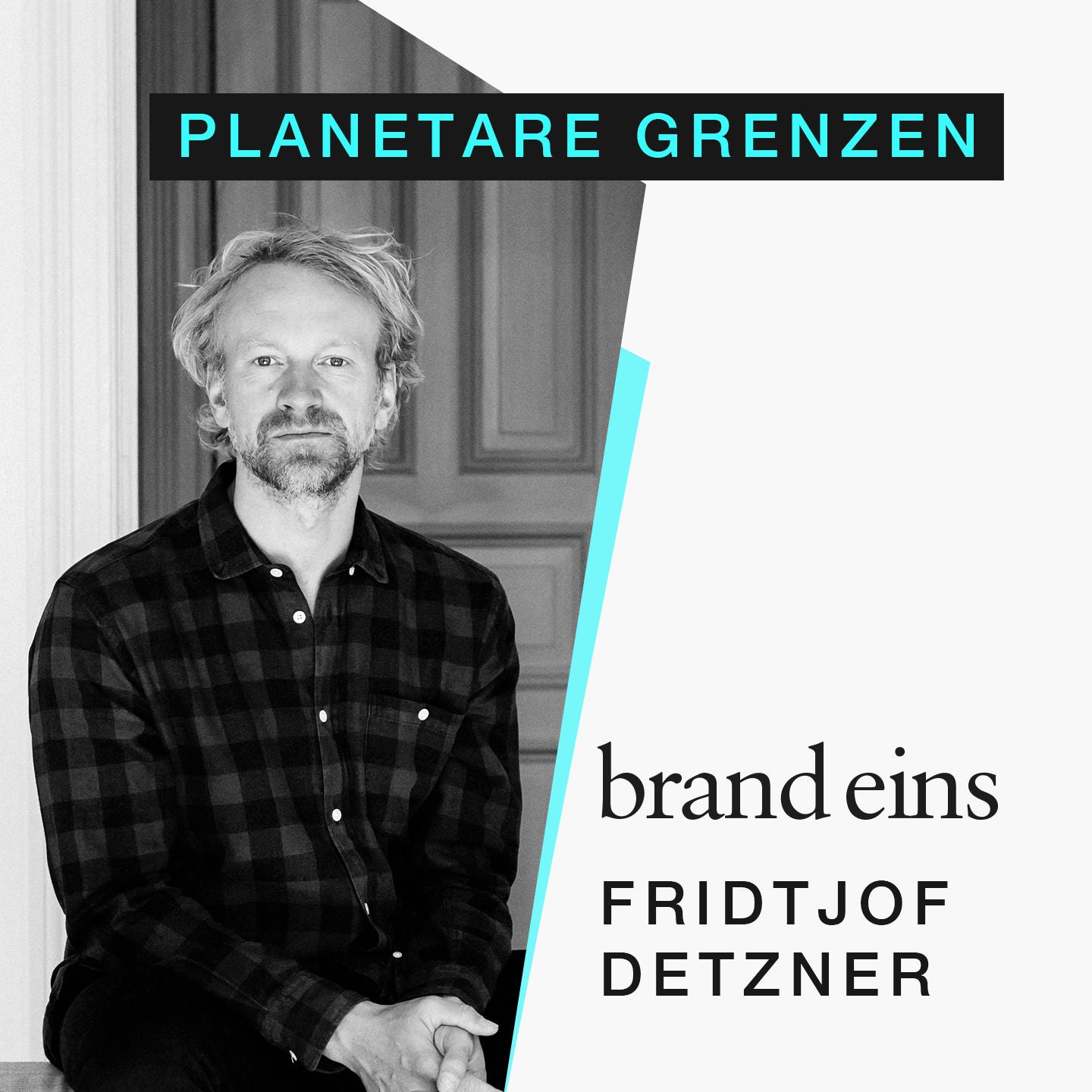 Fridtjof Detzner: Wirtschaft in planetaren Grenzen