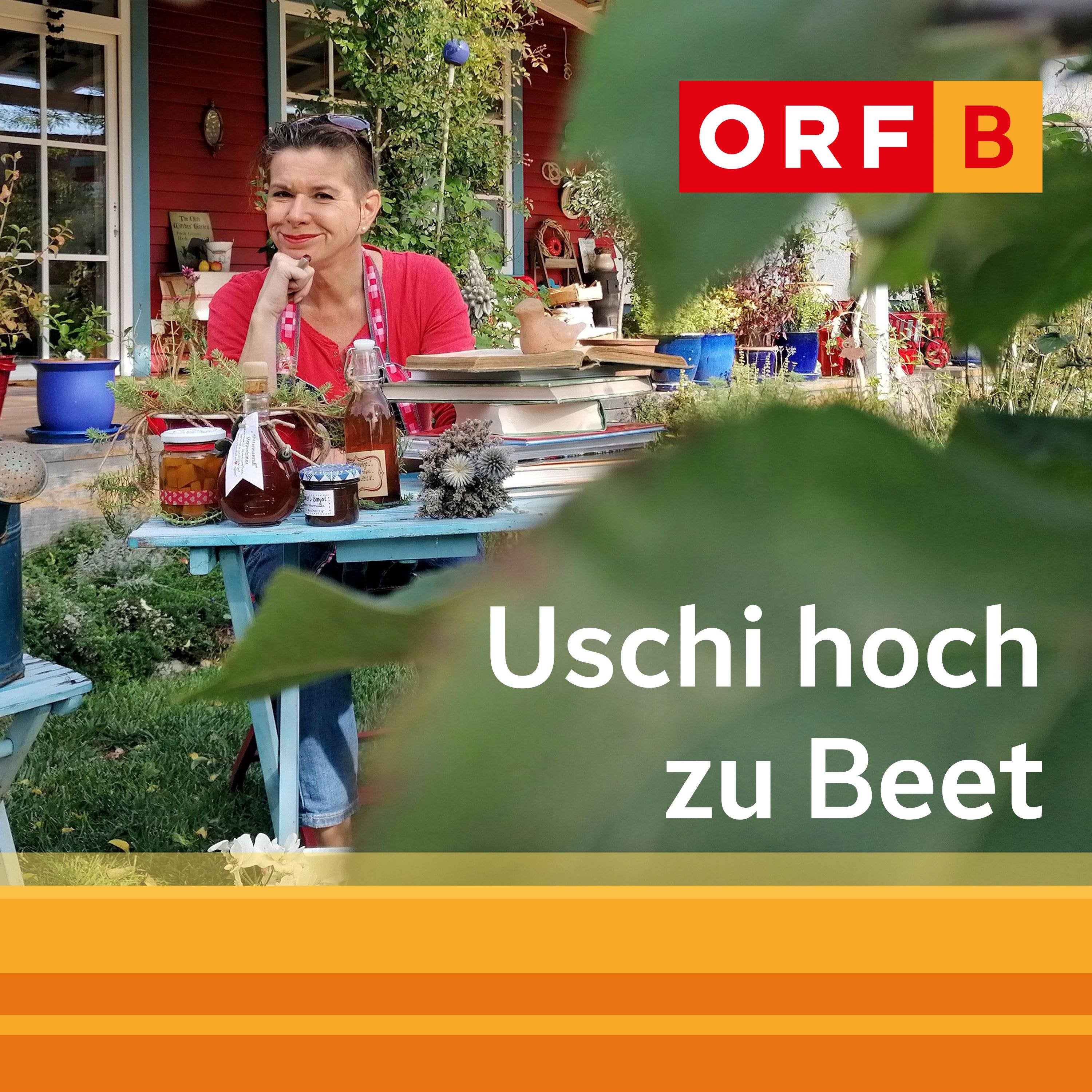 Exotische und heimische Samen mit dem Extraplus