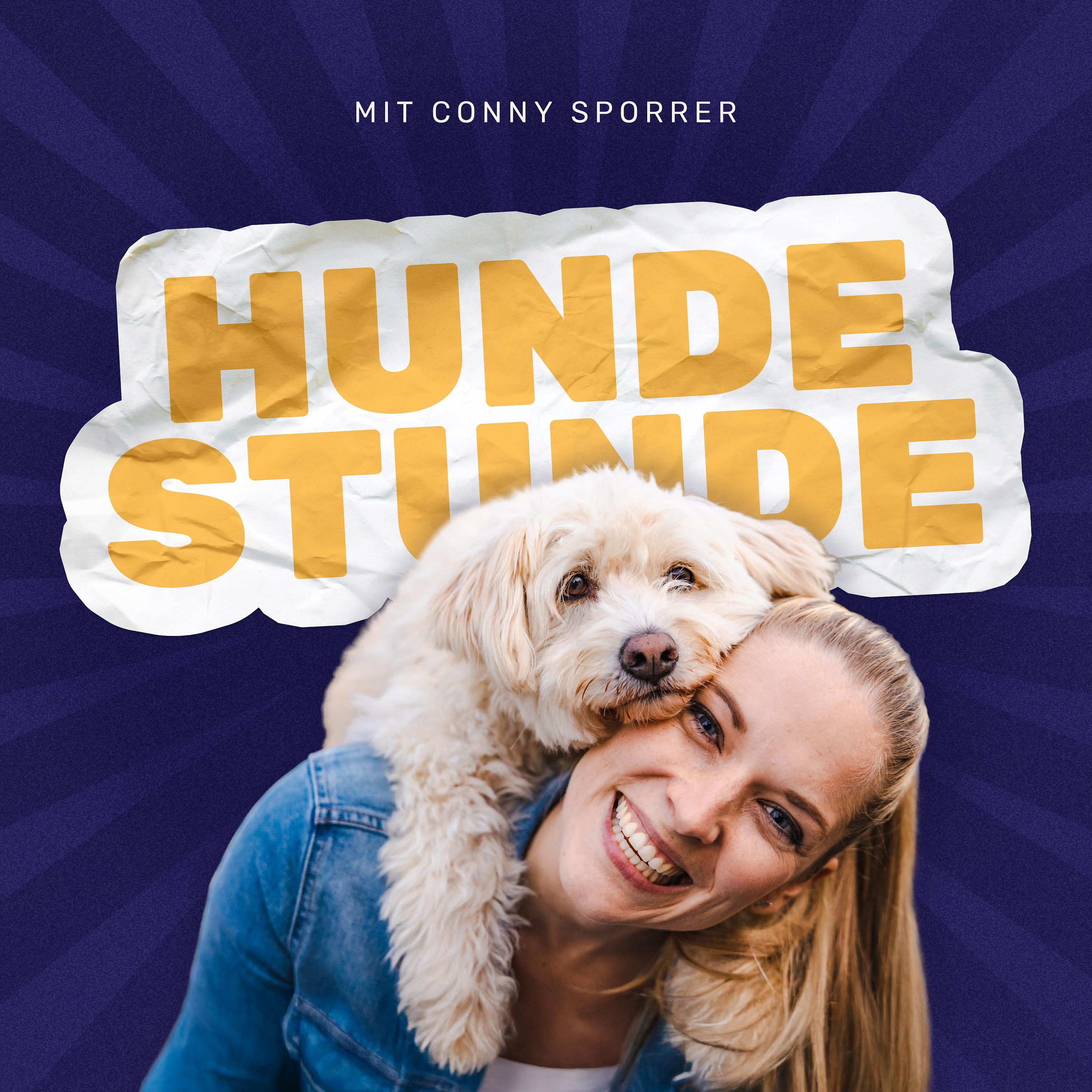 #265 - Leinenaggression – Hundestunde Quicktipps
