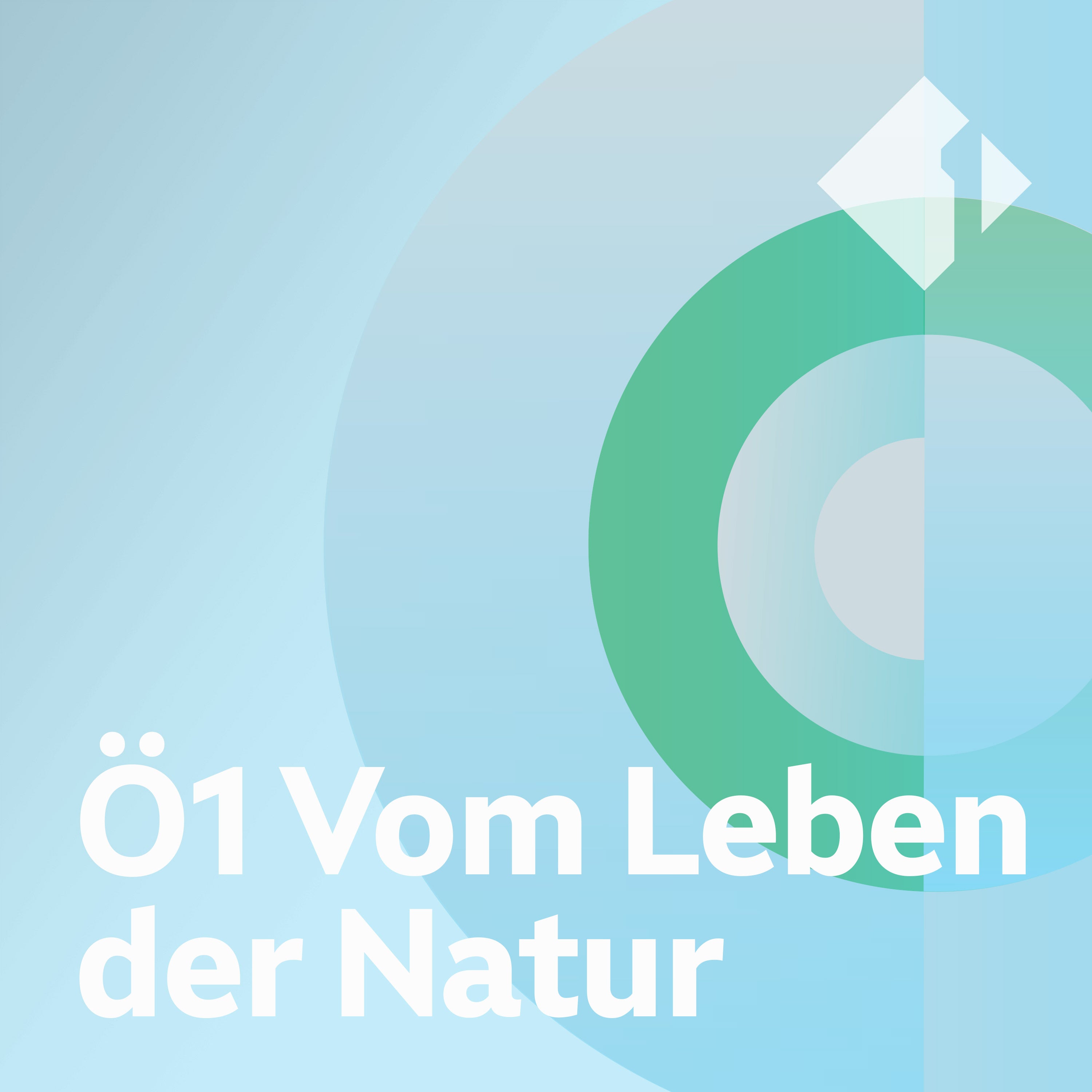 Storchenverein Rust (2)