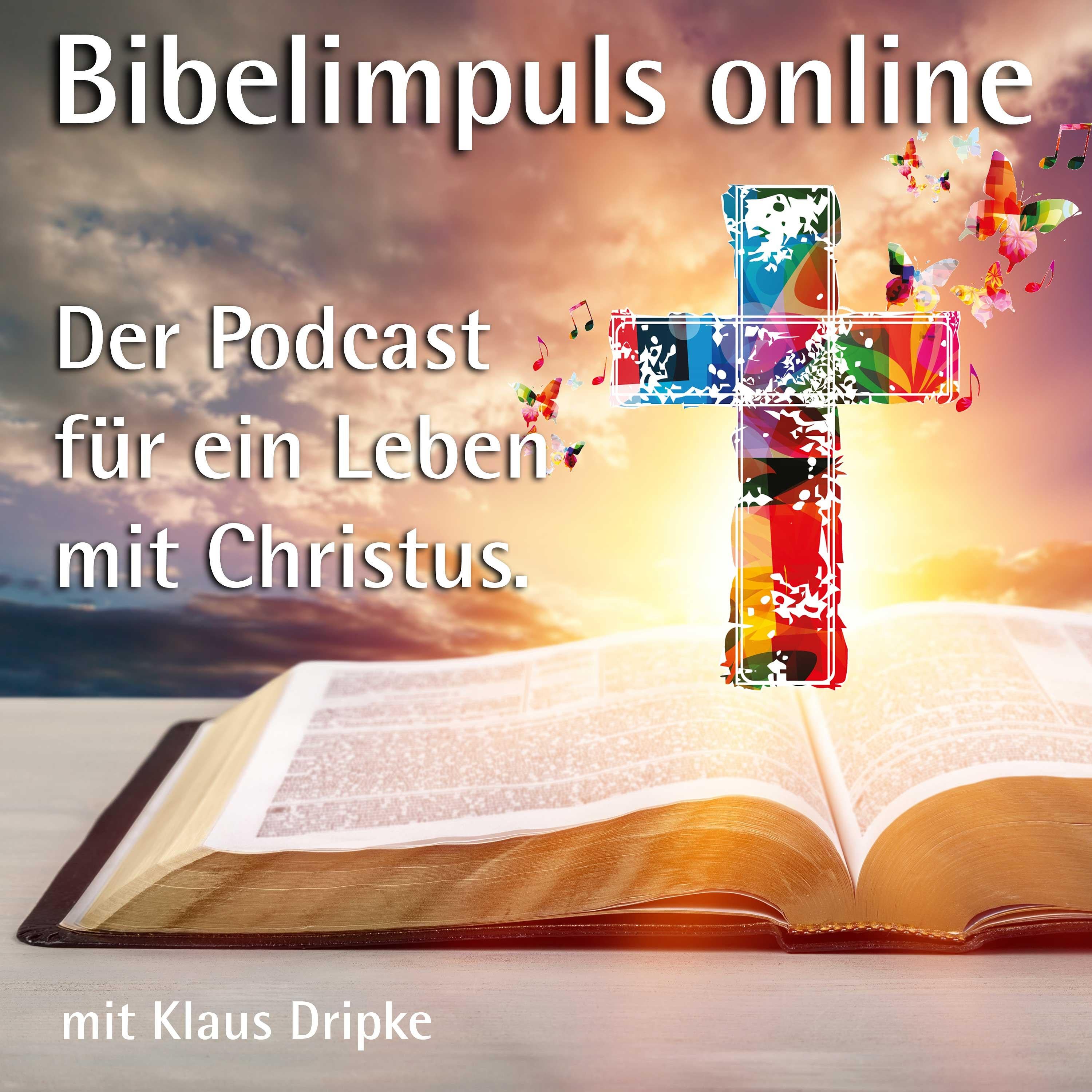 Kritische Fragen - wer ist Jesus wirklich?