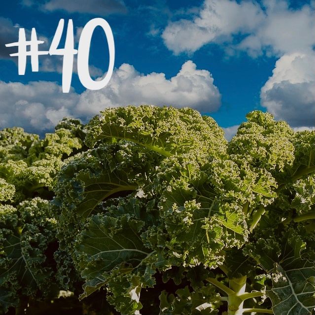 #40 - Grünkohl & Salbei