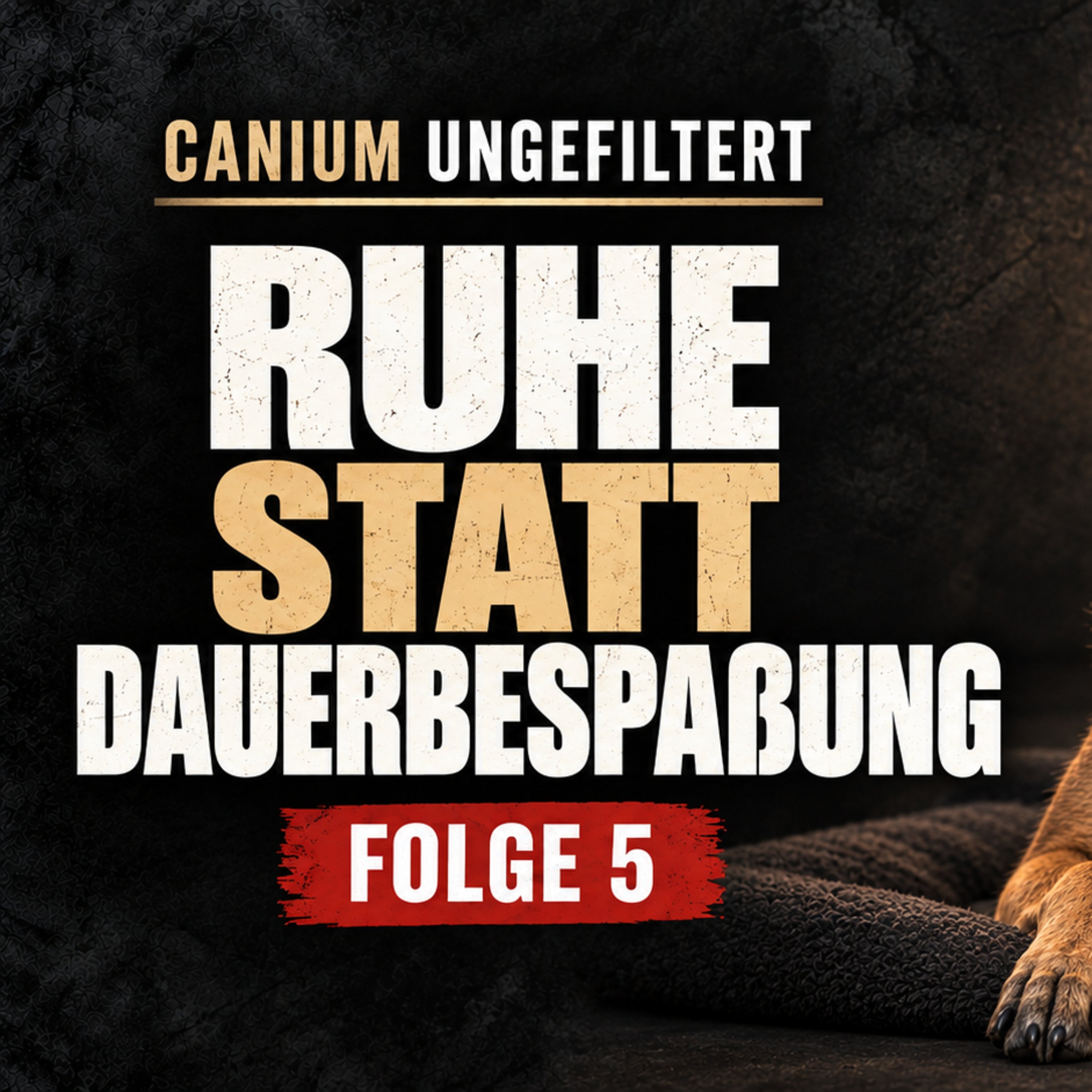 Ruhe statt Dauerbespaßung – was dein Hund wirklich braucht