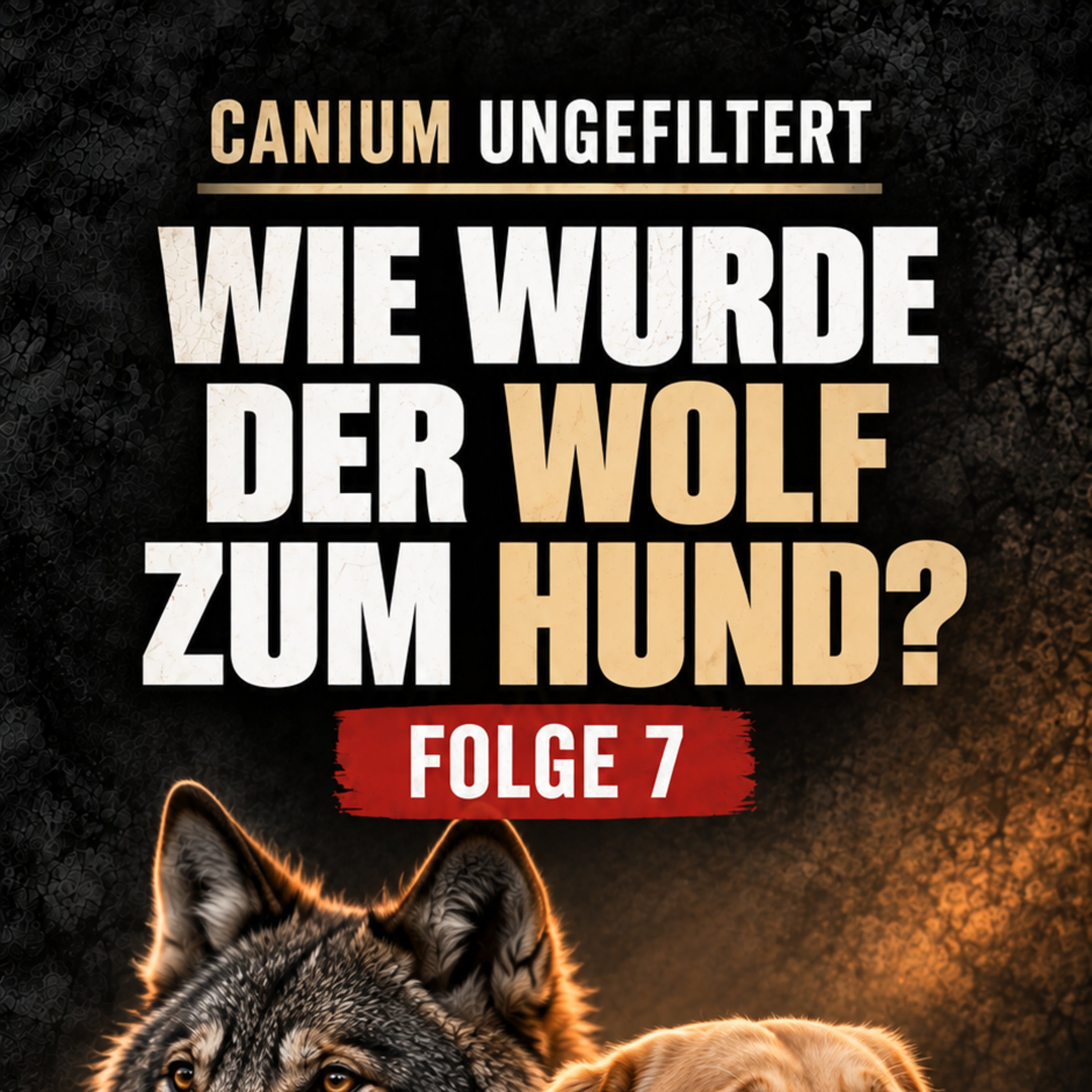 Vom Wolf zum Haushund: Wie unsere gemeinsame Geschichte begann