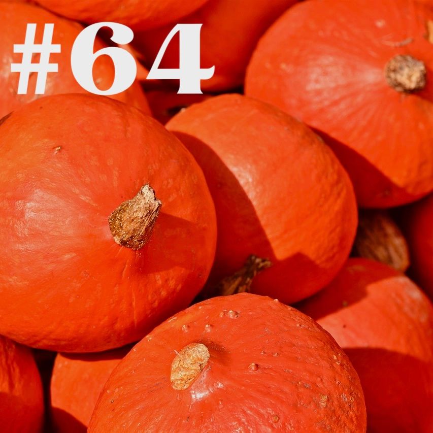 #64 - Bärlauch & Kürbis