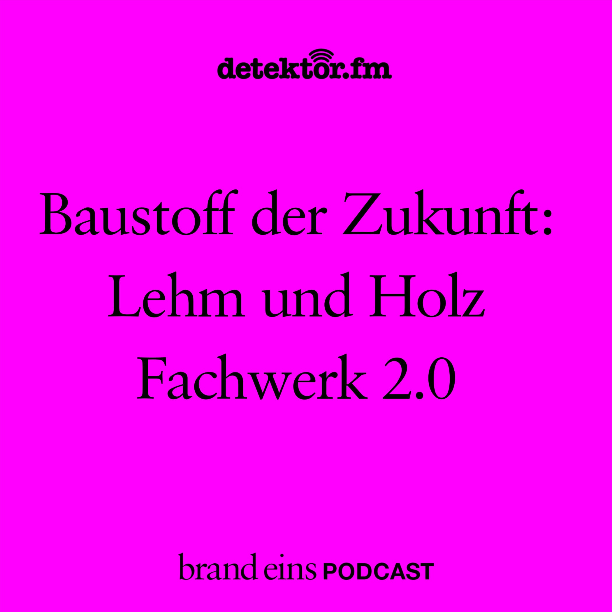 Baustoffe der Zukunft: Lehm und Holz