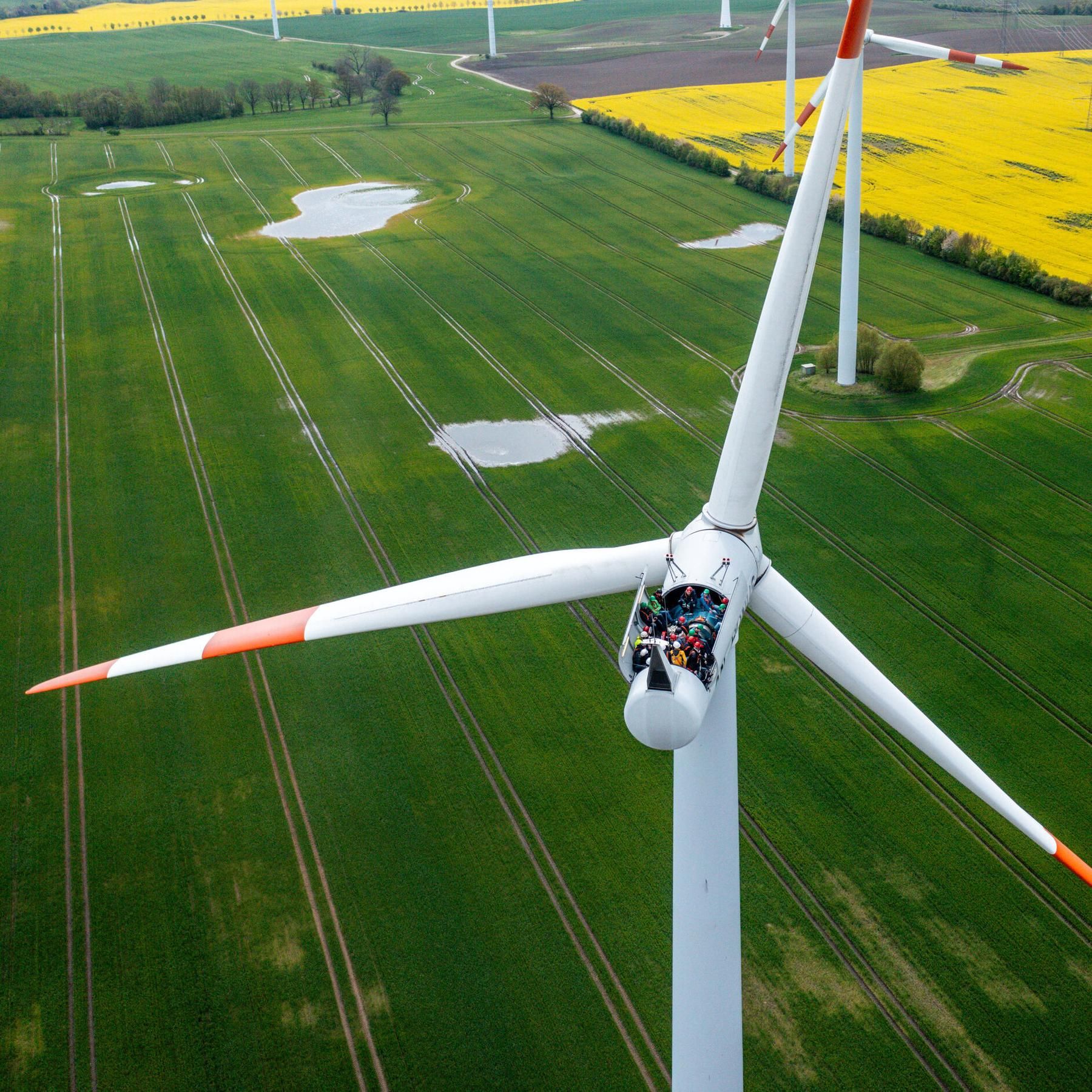 Interview der Woche: Tag der Erneuerbaren Energien