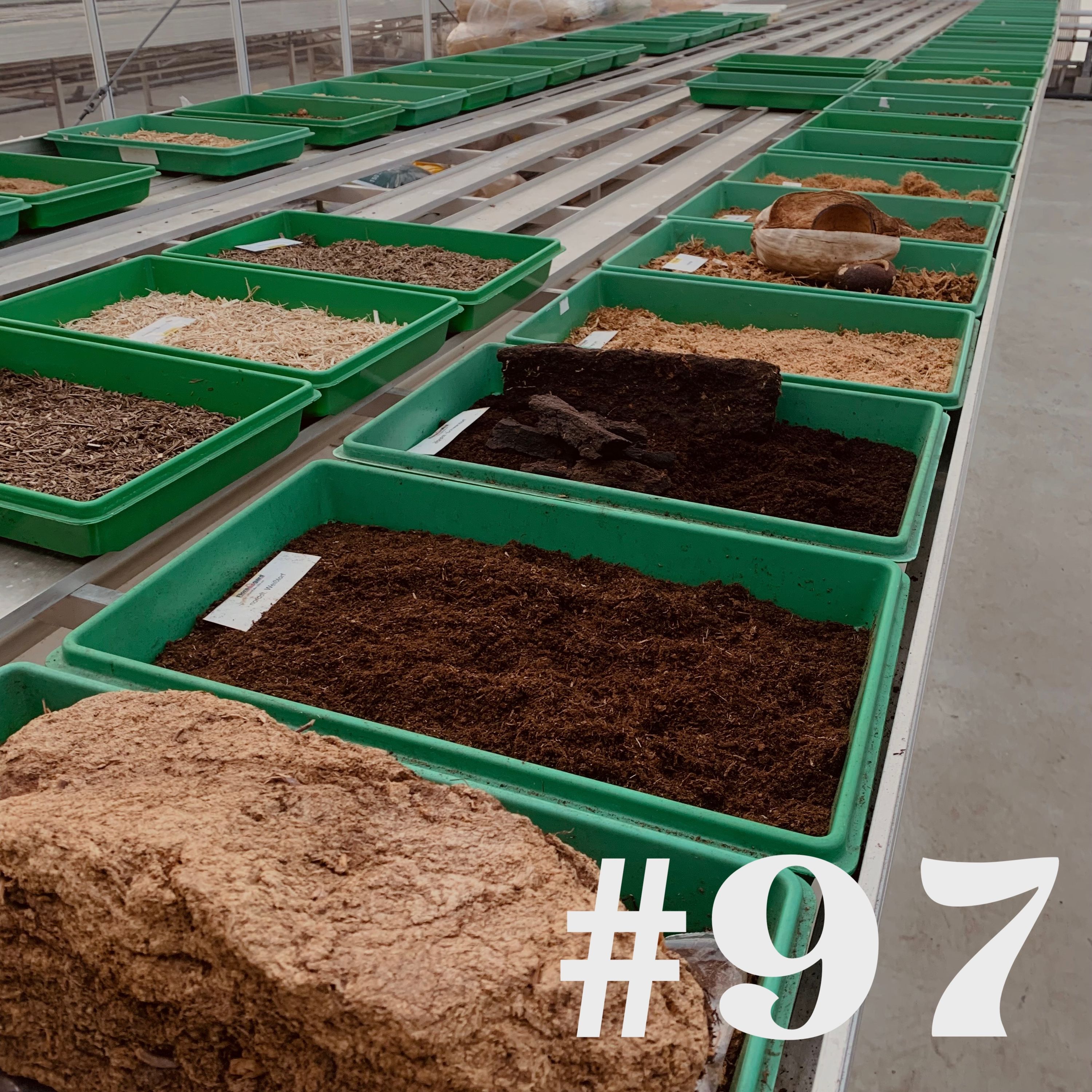 #97 - Laub kompostieren & Besuch bei Floragard
