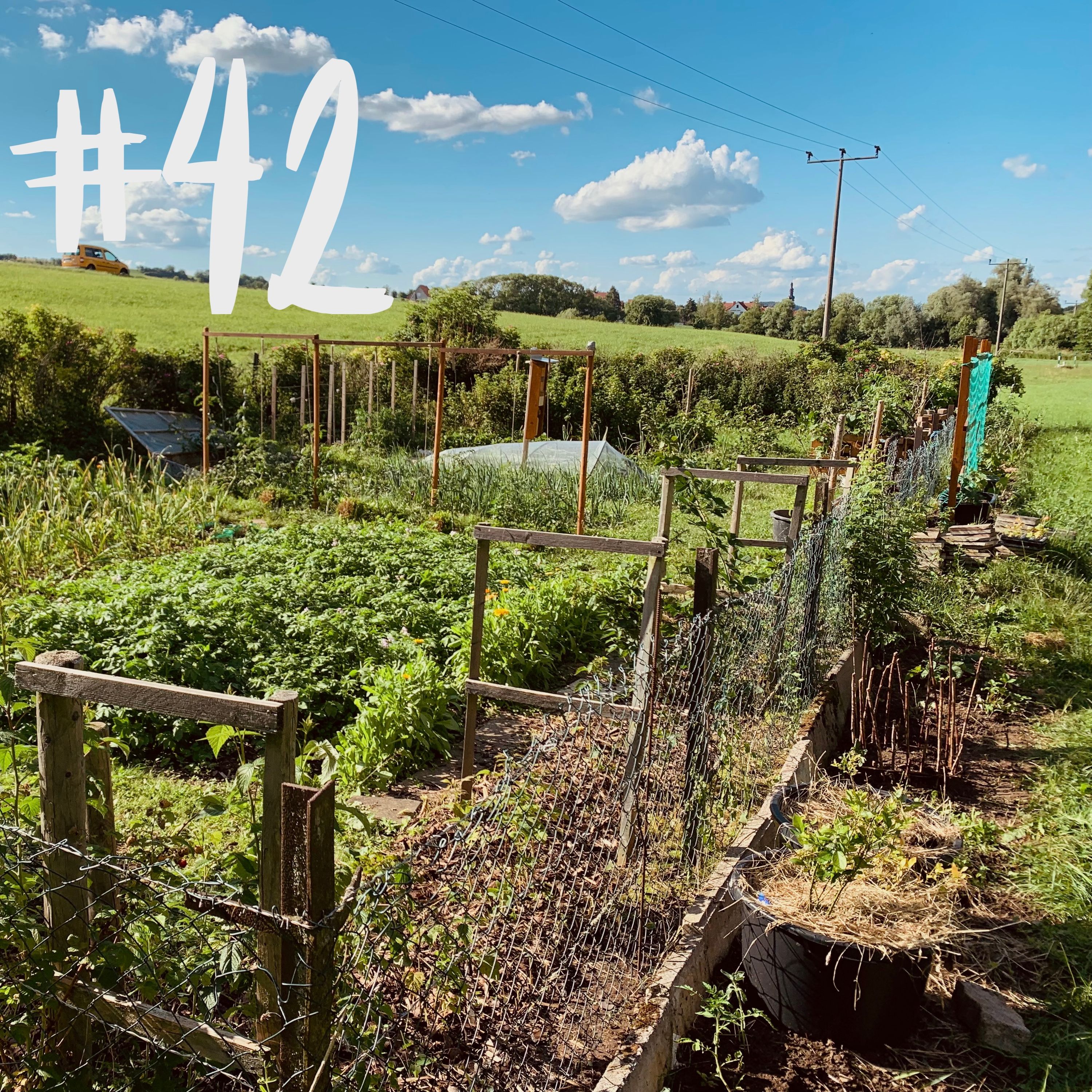 #42 - Spezial - live aus dem Garten Ede